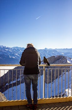 A person enjoys a winter mountain view from Mount Pilatus in Switzerland, accompanied by a bird.