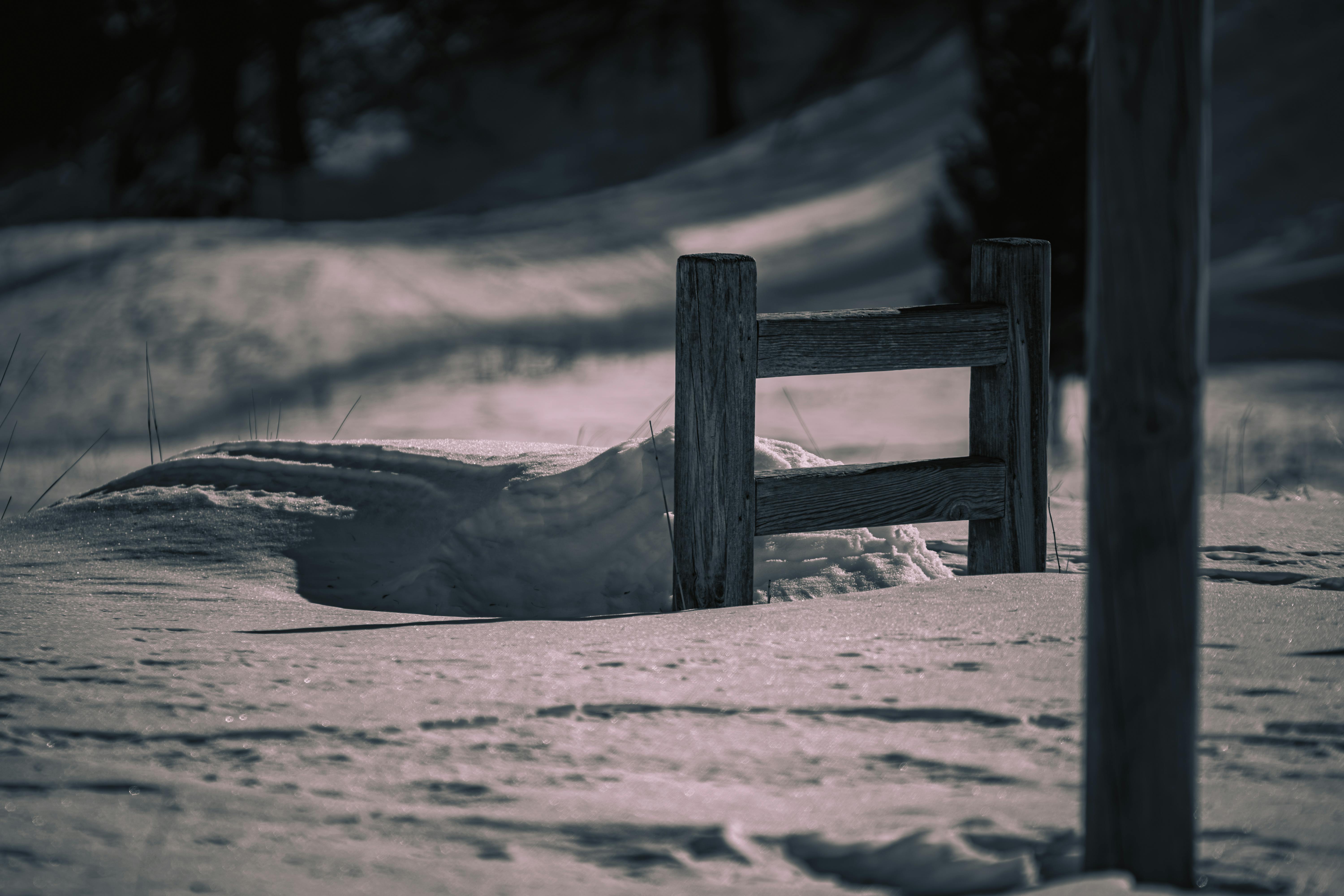 De franc Foto d'estoc gratuïta de @outdoor, a l'aire lliure, aïllat Foto d'estoc