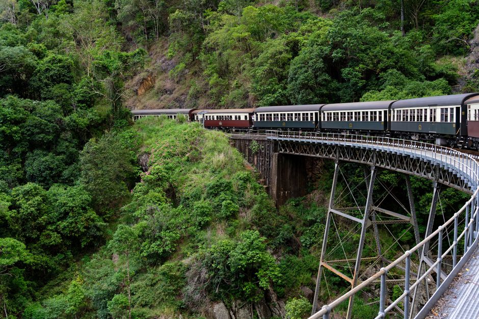 Skyrail Rainforest Cableway à Kuranda