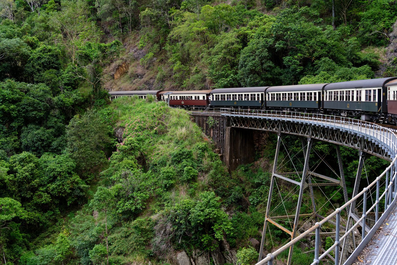 Kuranda Scenic Railway rainforest Skyrail cableway Cairns
