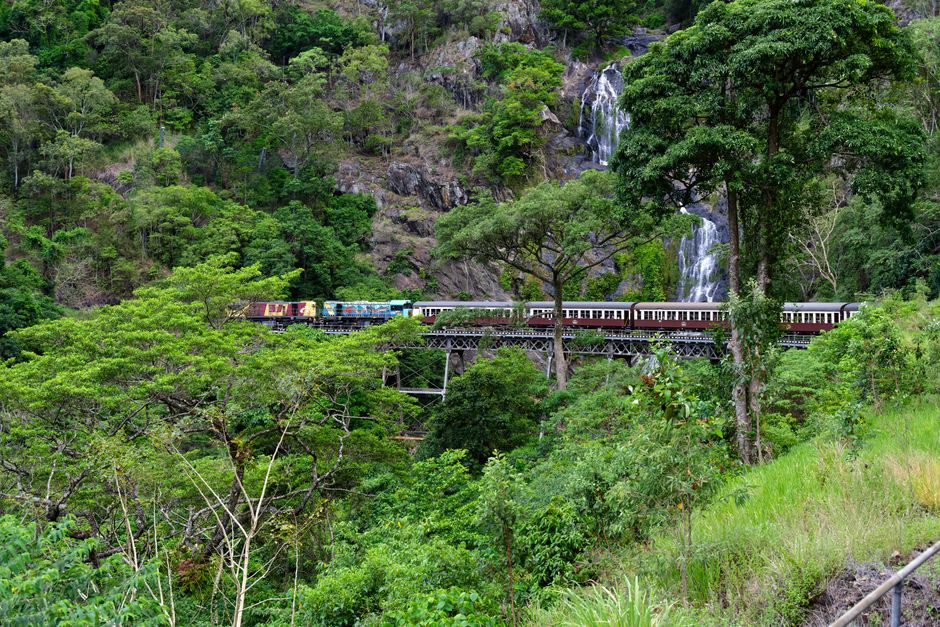 Rainforestation Nature Park à Kuranda