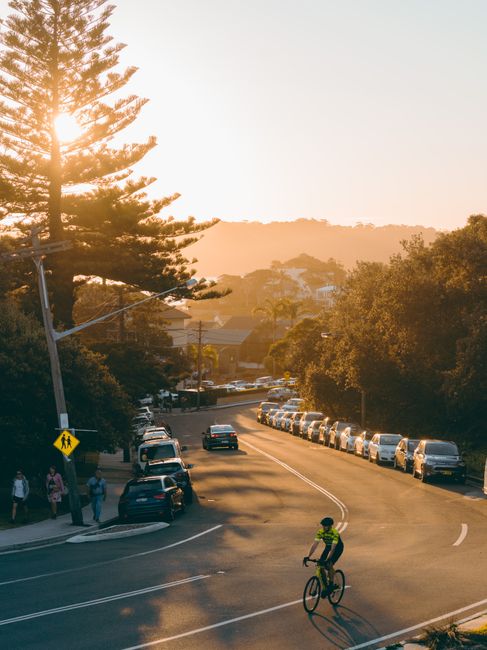 Cyclist on a sunset road in Watsons Bay with parked cars and scenic view.