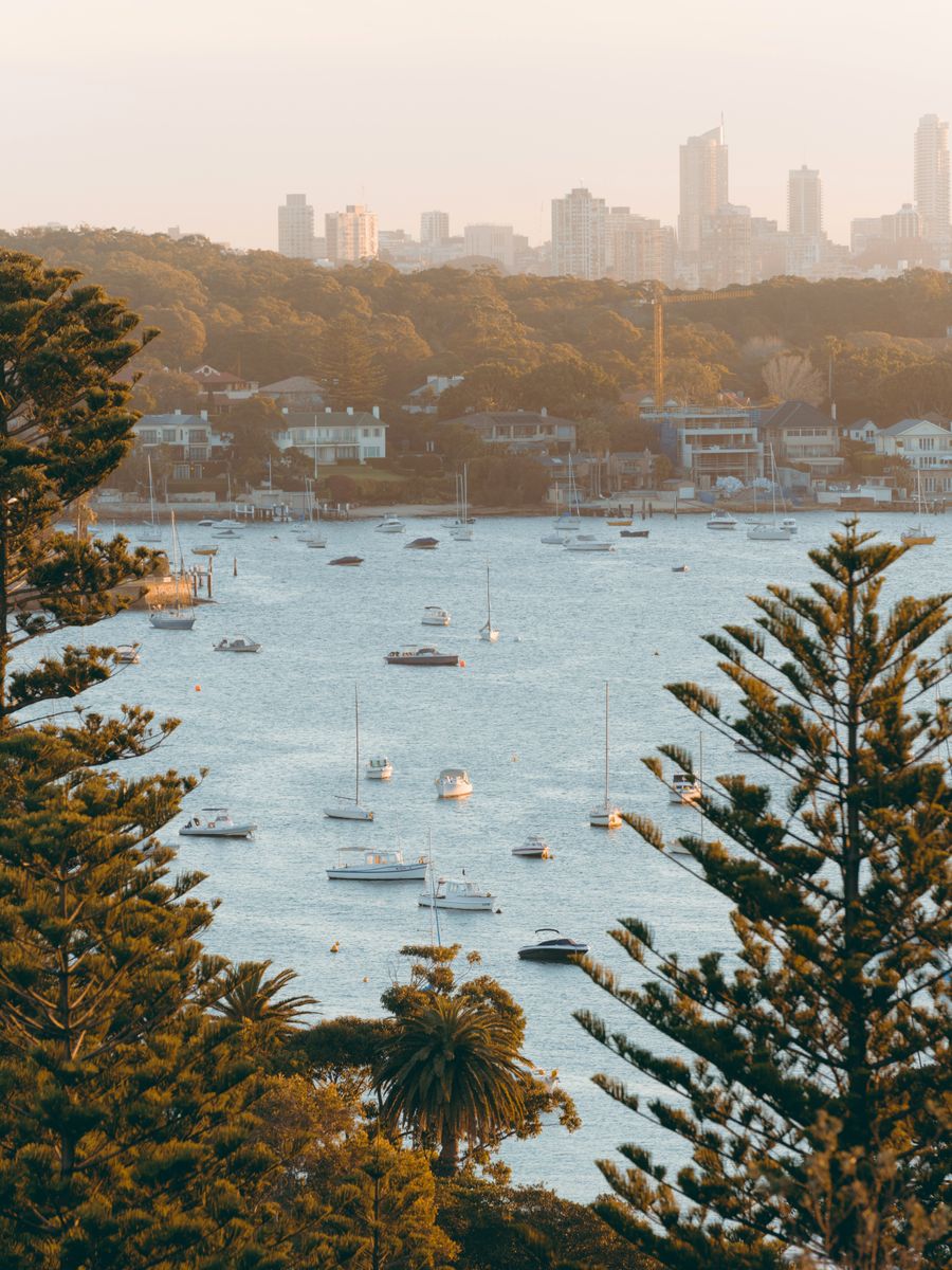Bondi → Manly, часть 2: Watsons Bay → Double Bay