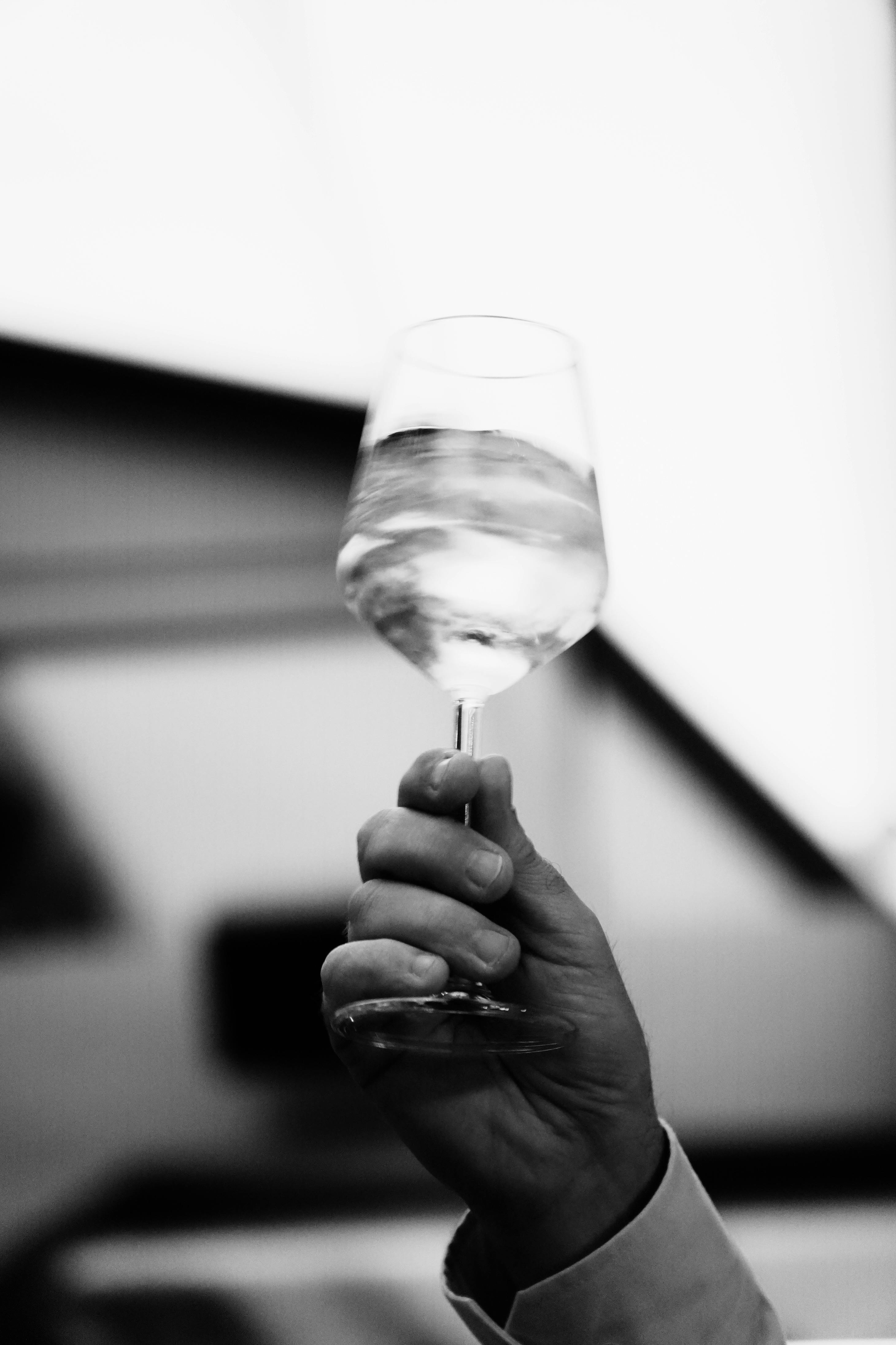 Zadarmo Monochromatický obrázok zachytávajúci ruku držiacu pohár vína pri slávnostnom prípitku. Fotka z fotobanky