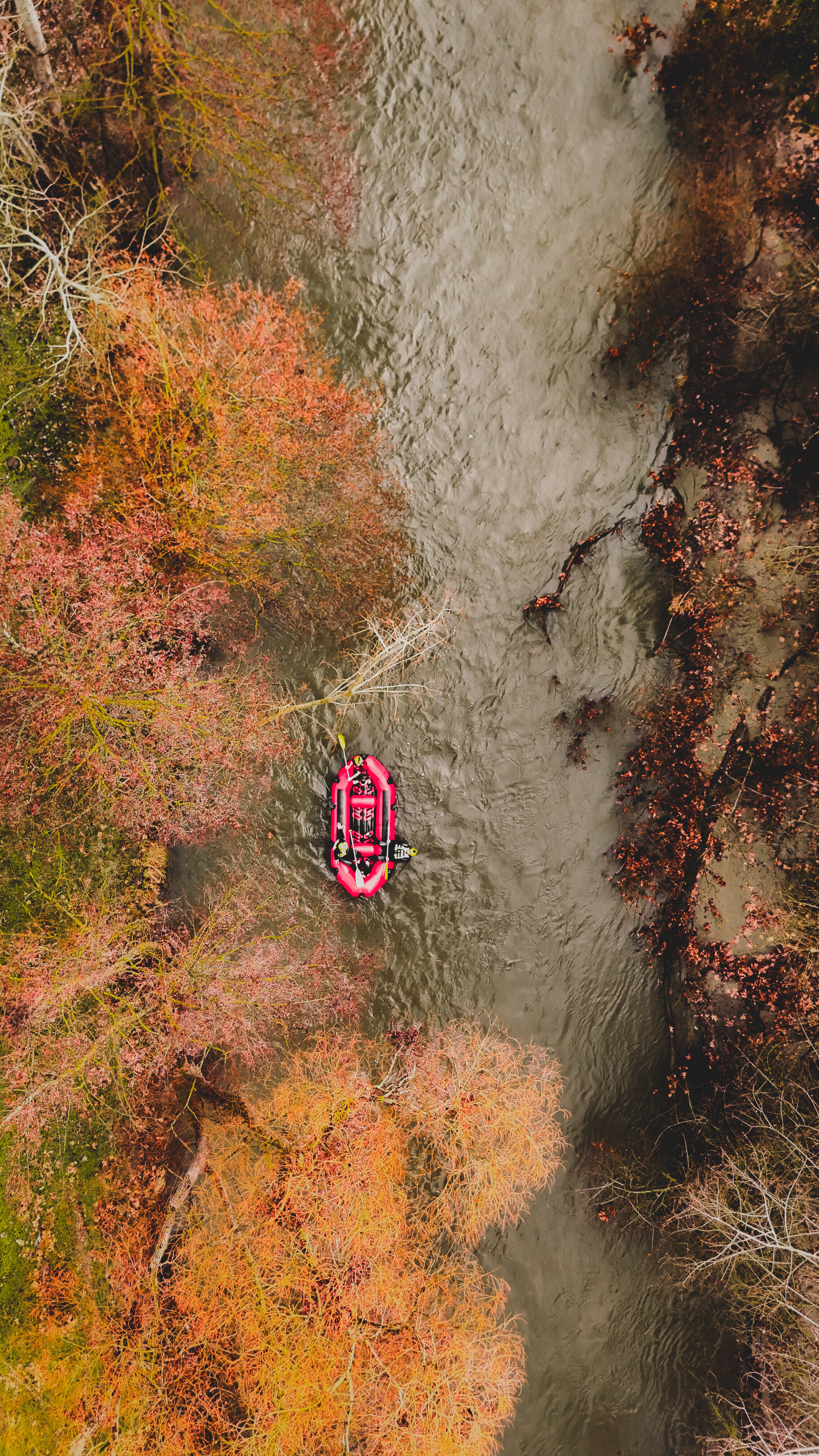 Aerial View of Kayaking in River During Fall · Free Stock Photo