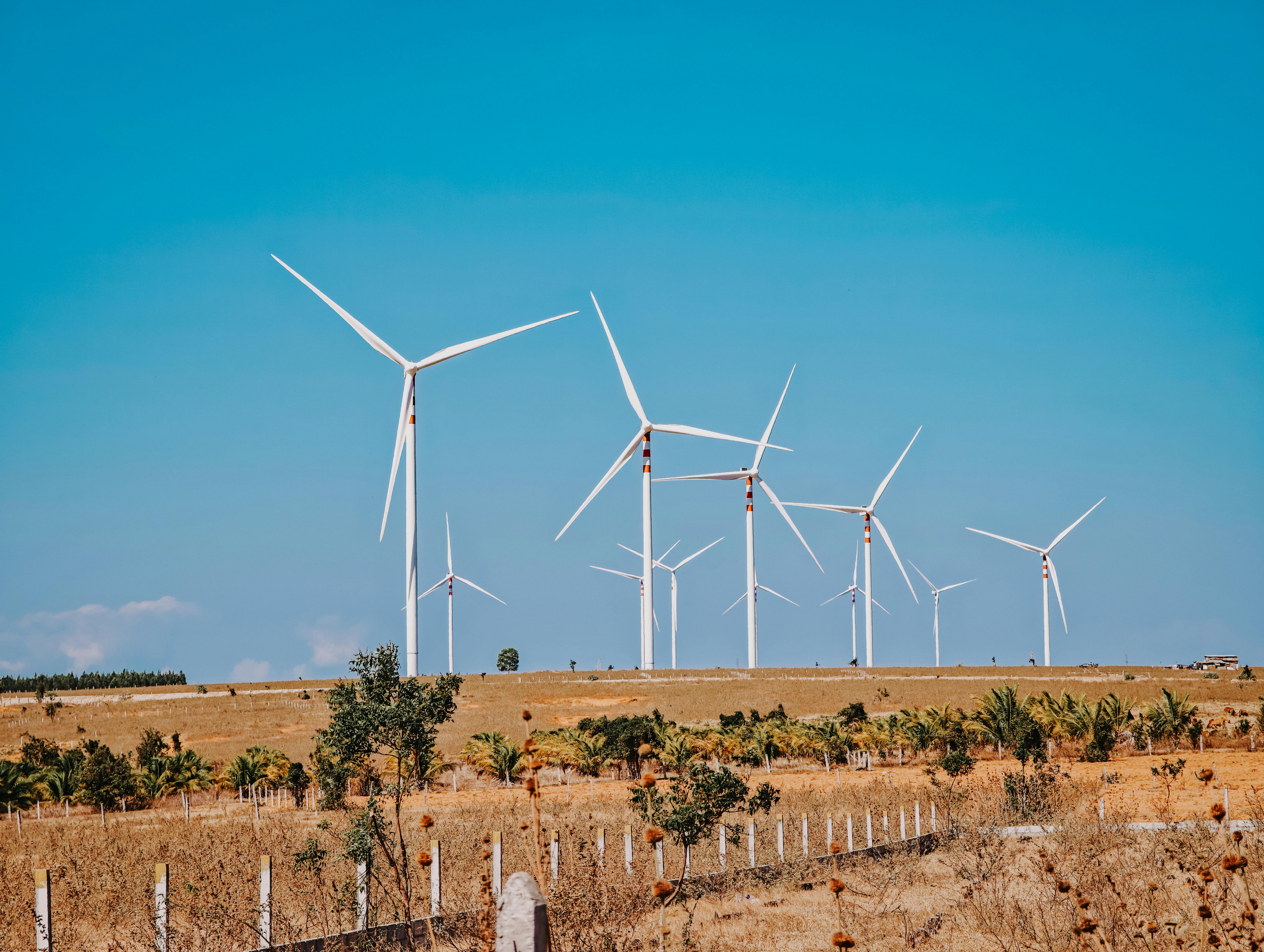 Libya Redirects Oil Flows After Sharara Pipeline Leak and Fire