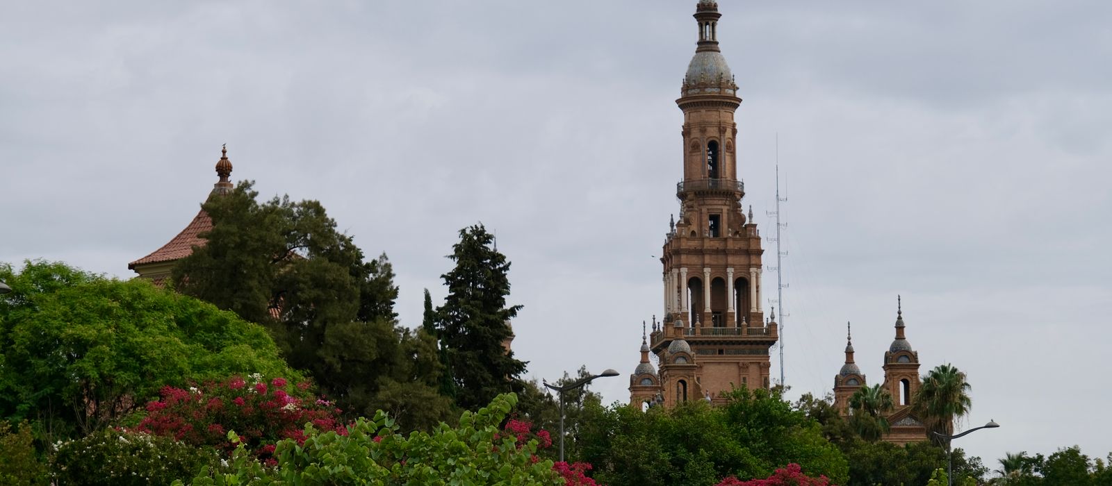 Beautiful view of La Giralda Tower surrounded by vibrant greenery and flowers in Seville, Spain.