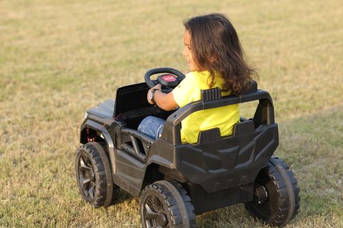 Free A joyful child riding a toy car on grassy field under the bright sun. Stock Photo