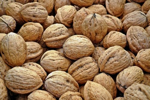 Free Close-up of a pile of unshelled walnuts showcasing their natural texture. Stock Photo