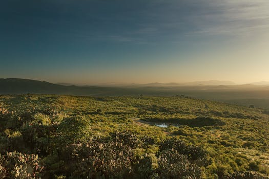 Image by Ingrid García