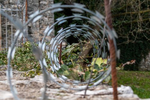 Free Close-up of barbed wire against nature backdrop in Ioannina. Stock Photo
