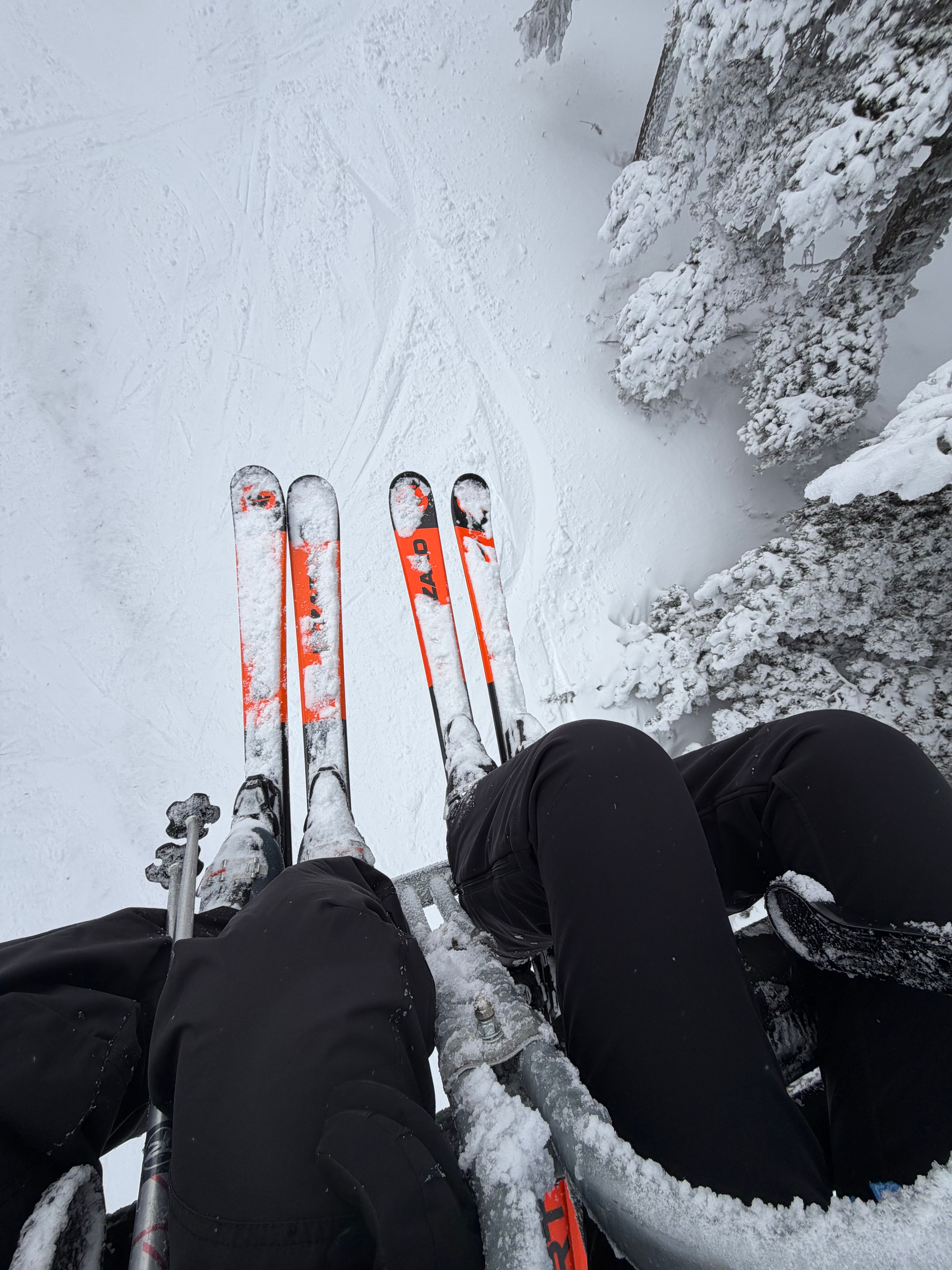 Manual Of Ski Mountaineering