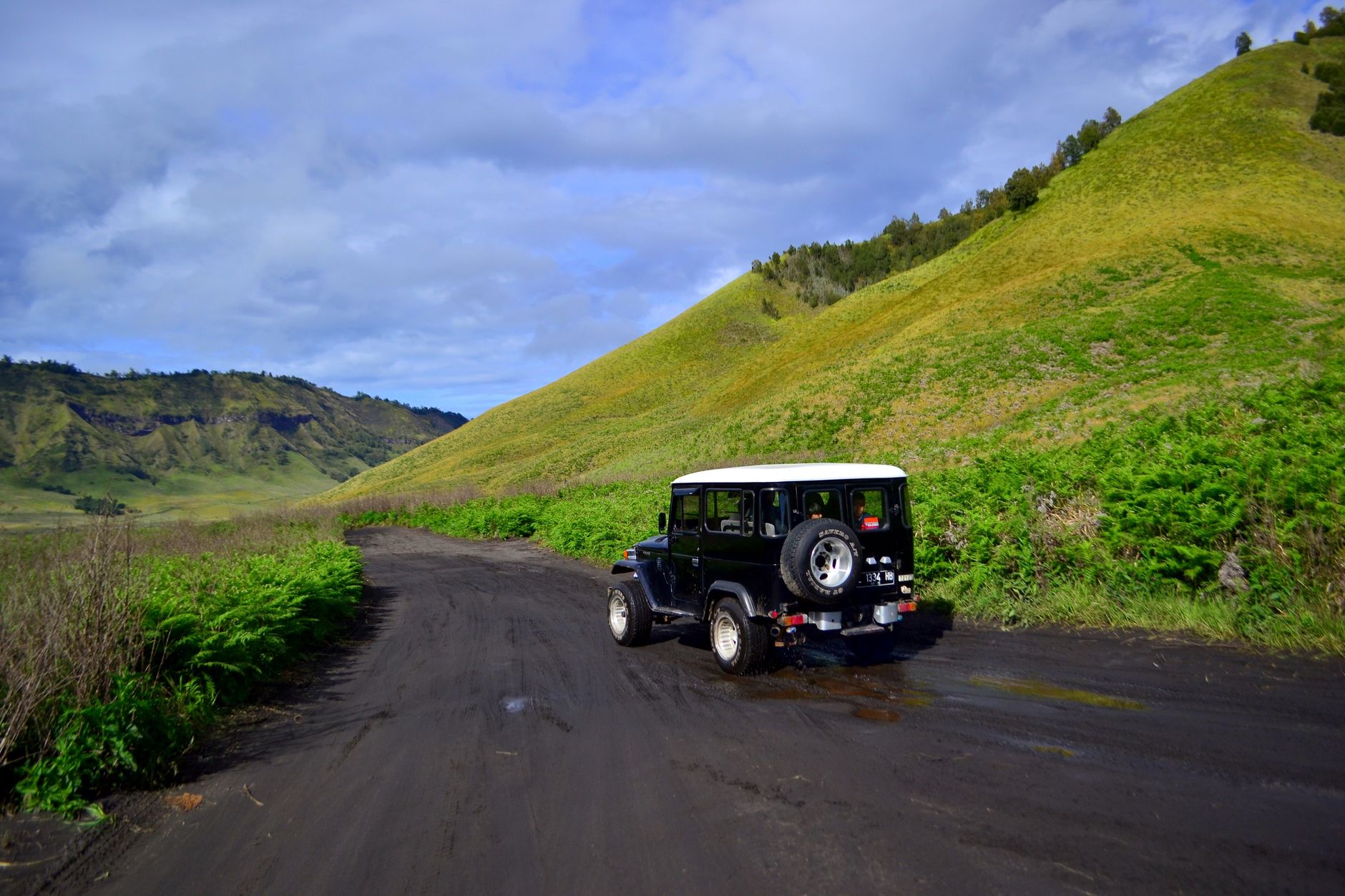 Menjelajahi Keindahan Bukit Teletubbies Bromo Malang Yang Memukau
