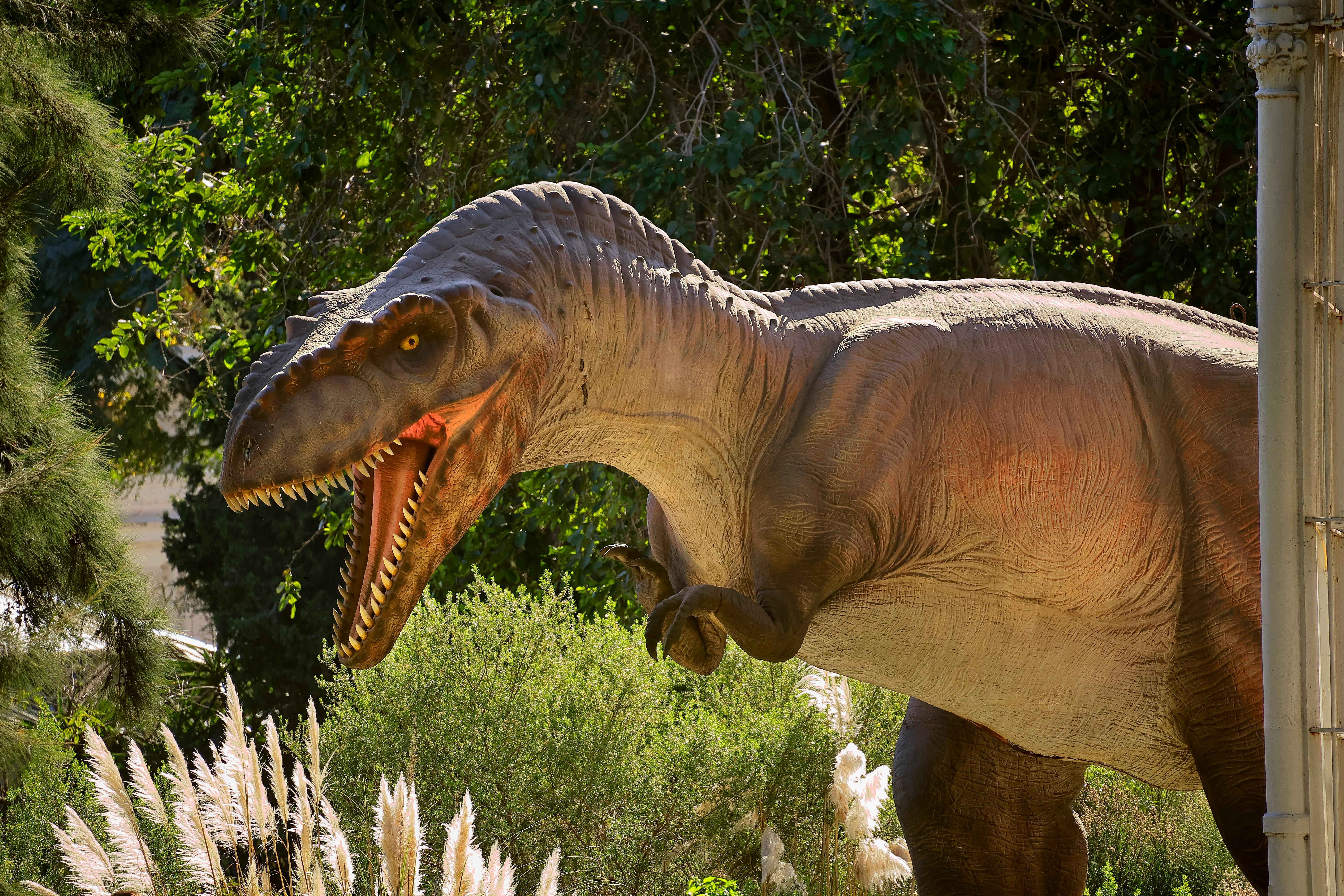 Study: Dinosaurs’ Free-Range Parenting Strategy Fundamentally Reshaped Mesozoic World — Photo by Domenico Cervini on Pexels