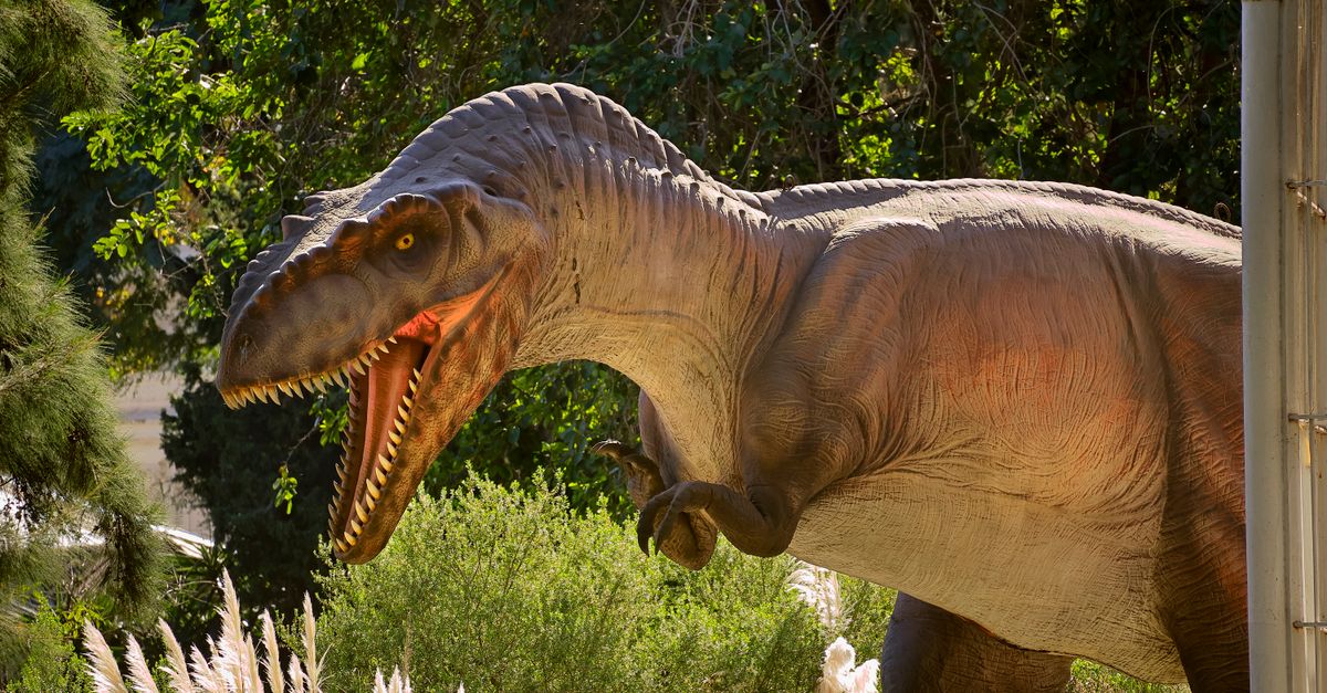 Fossil tooth analysis strengthens case for warm-blooded Tyrannosaurus rex dinosaur Fossil tooth analysis strengthens case for warm-blooded Tyrannosaurus rex dinosaur