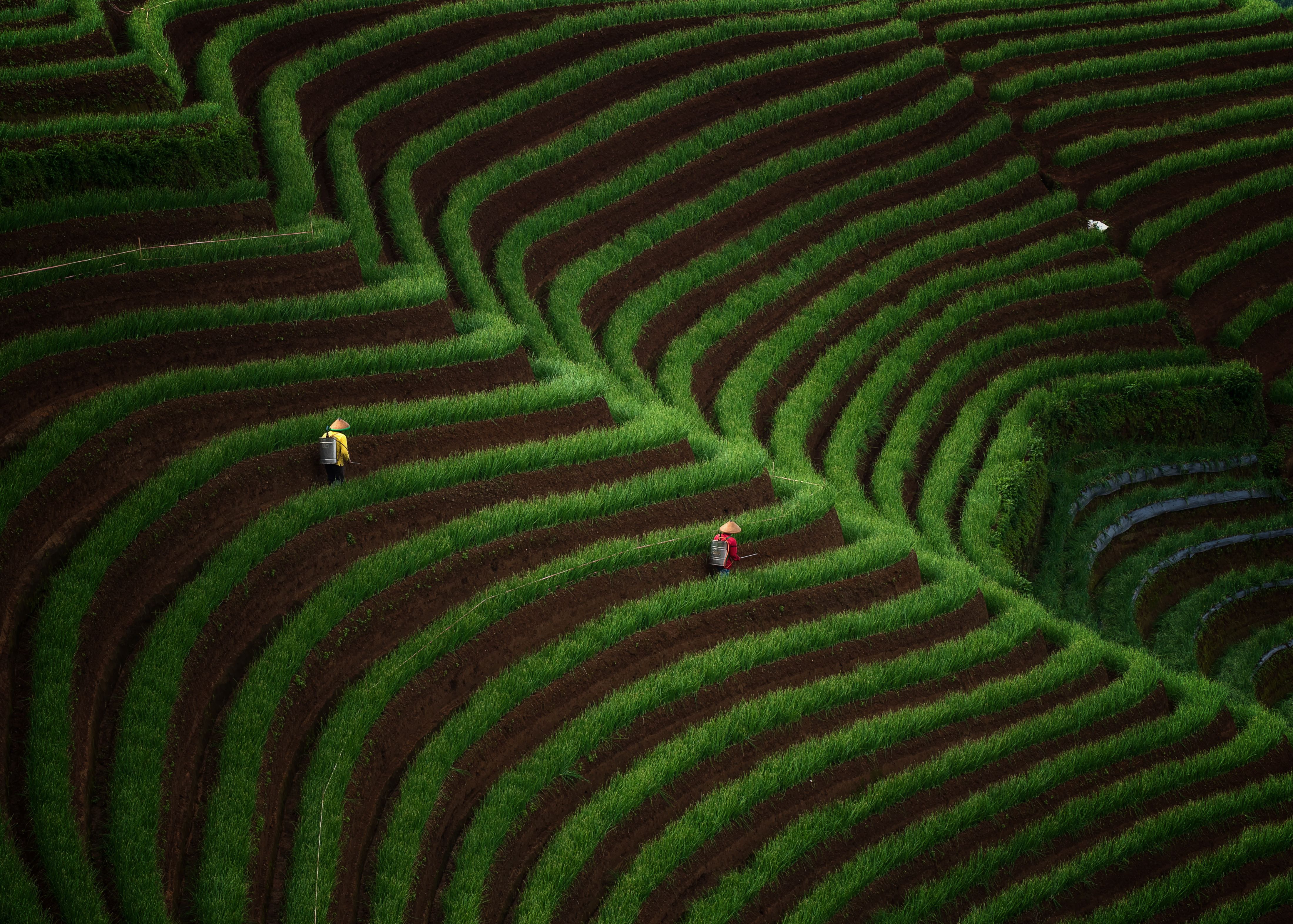 The 15 Agricultural Innovations That Multiplied the World's Population