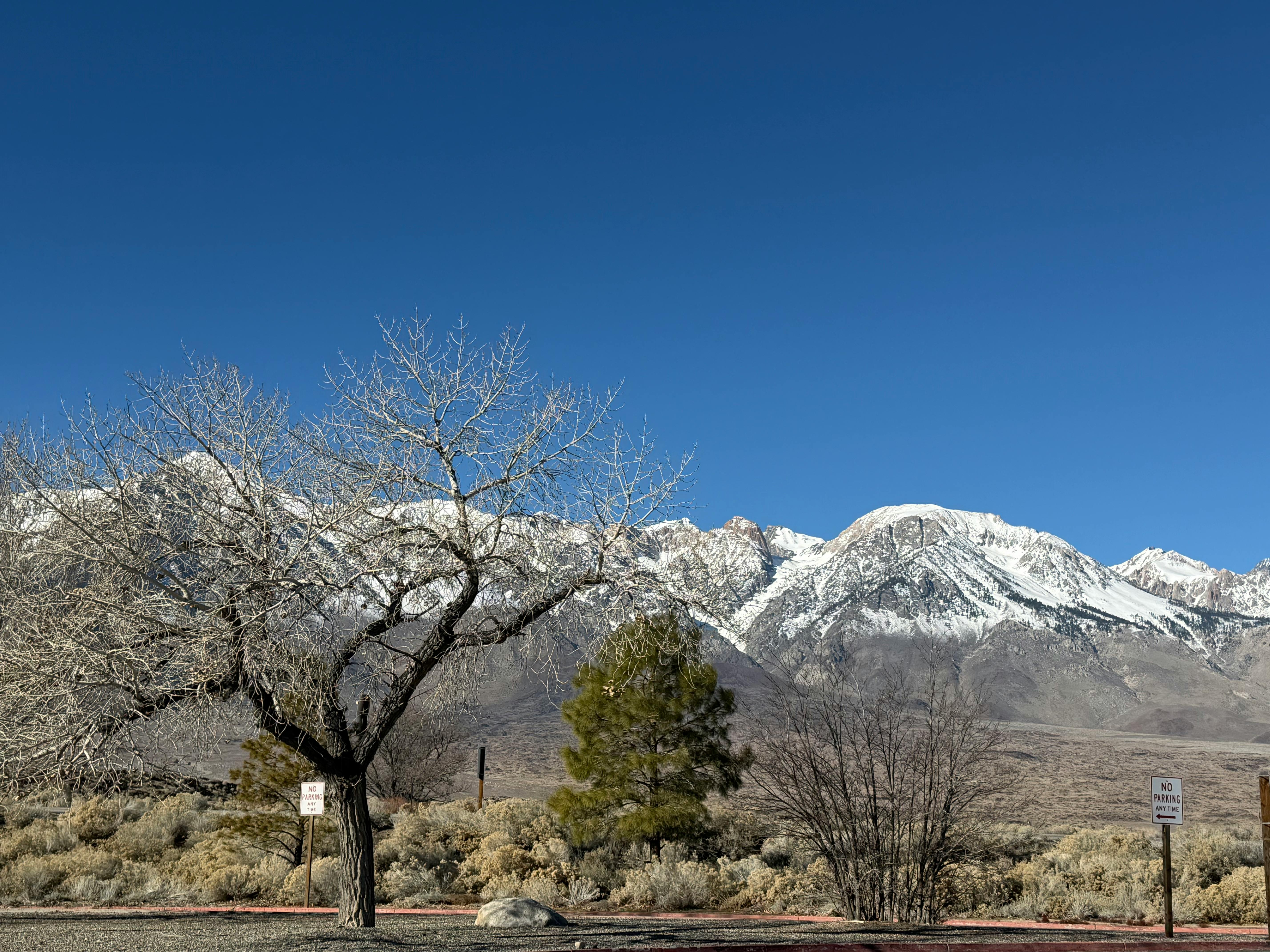 Scenic North Ranch hillside with mountain views and luxury homes