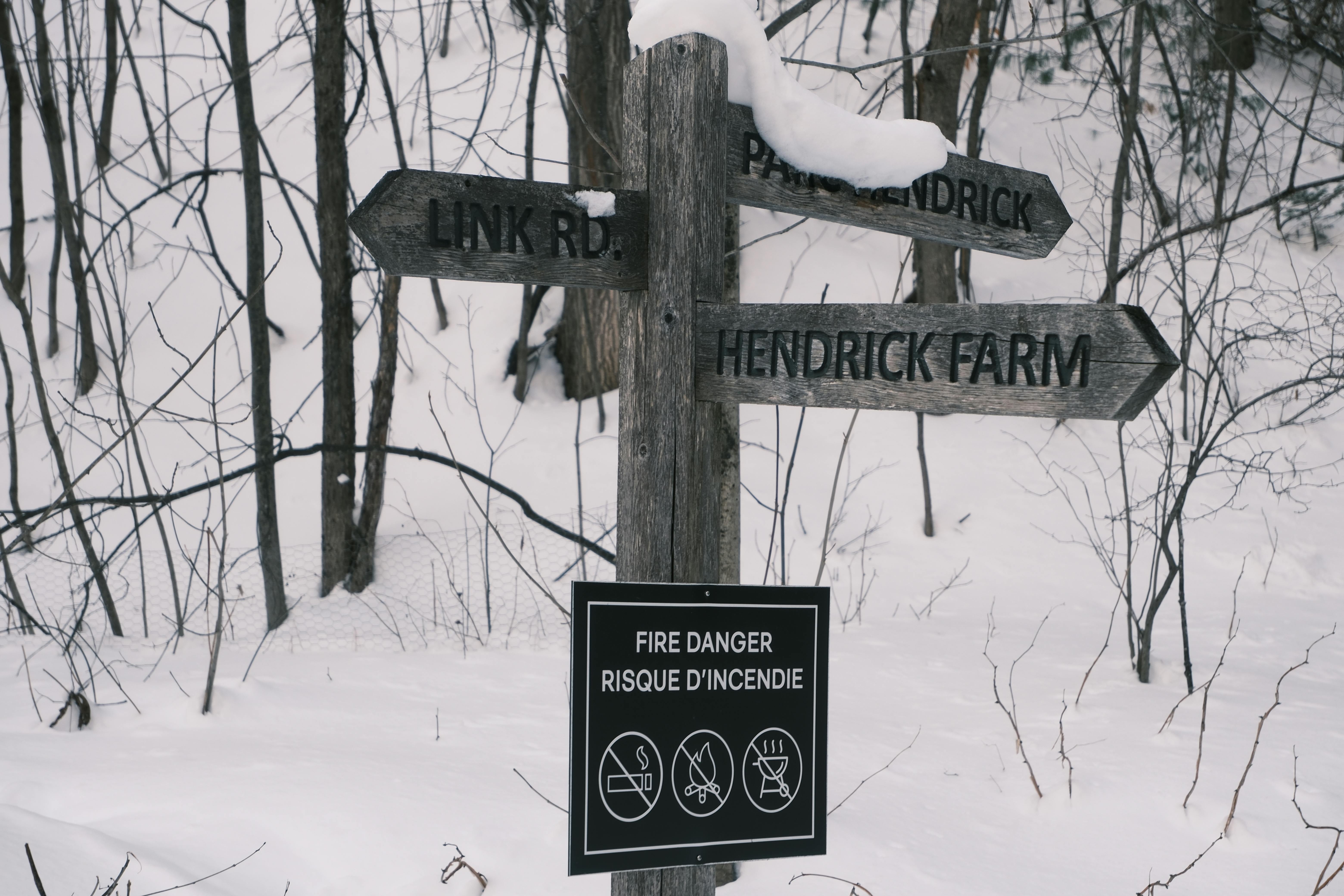 A snowy forest signpost warns of fire danger. Winter scene with snow-covered trees.