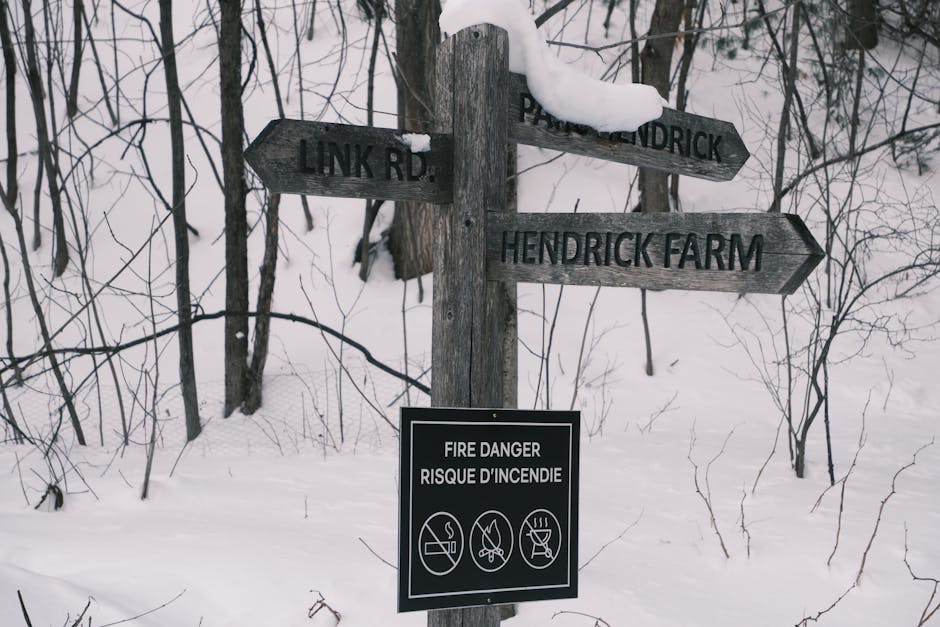 A snowy forest signpost warns of fire danger. Winter scene with snow-covered trees.