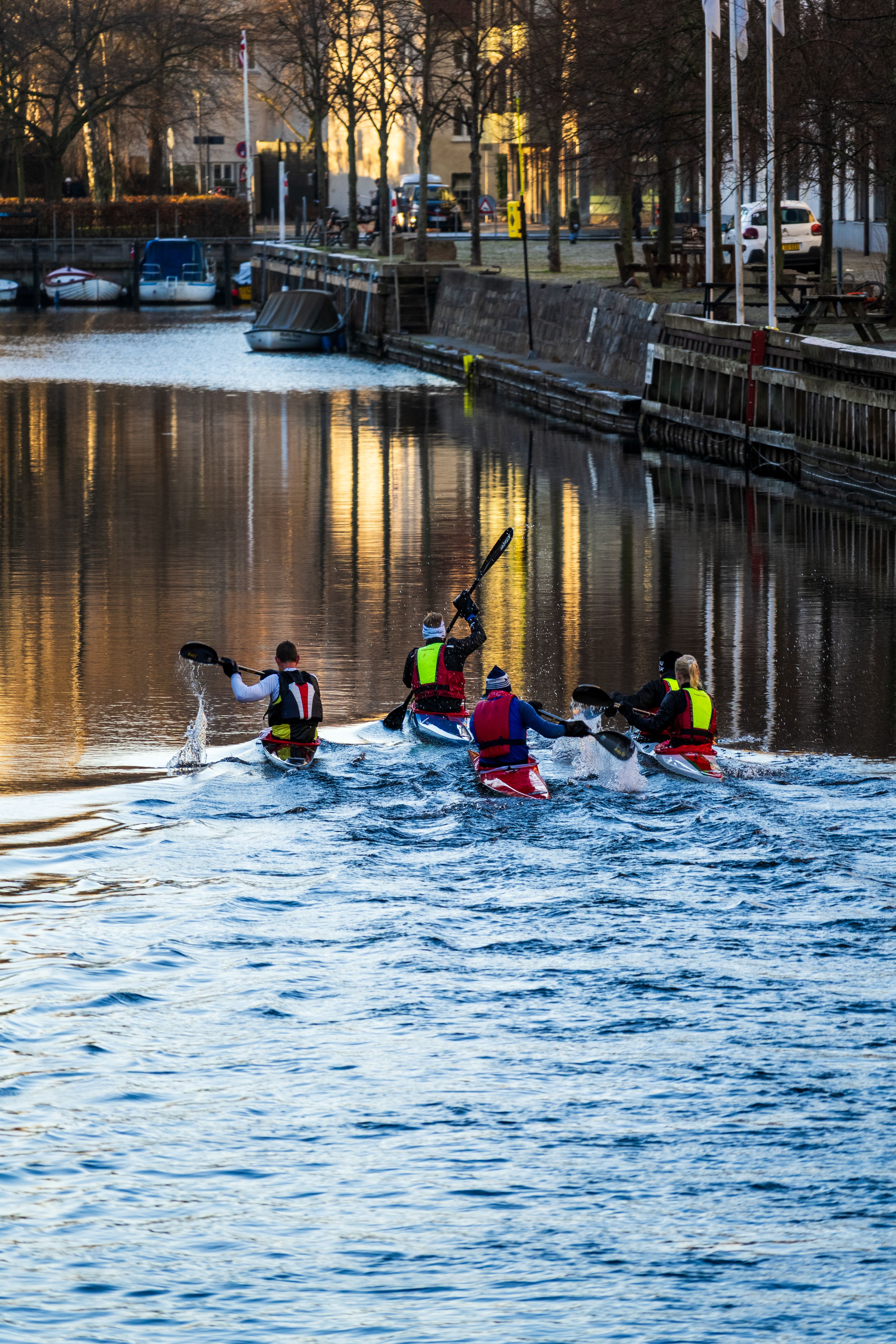 Kayaking Team Paddling in Copenhagen Canal · Free Stock Photo