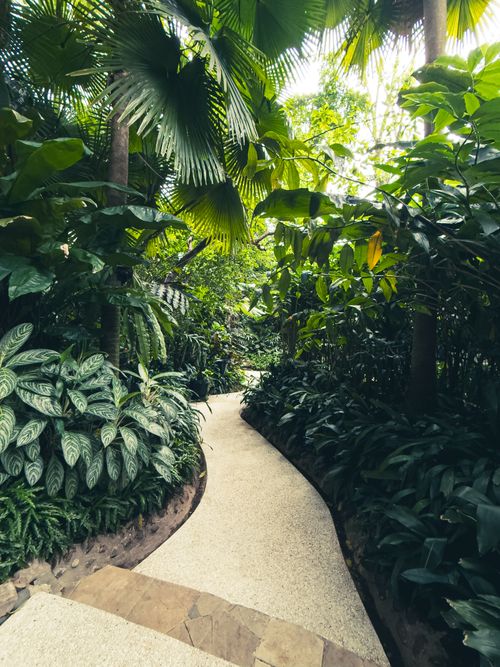 Free Winding path through lush tropical garden in Bandung, West Java, Indonesia. Stock Photo