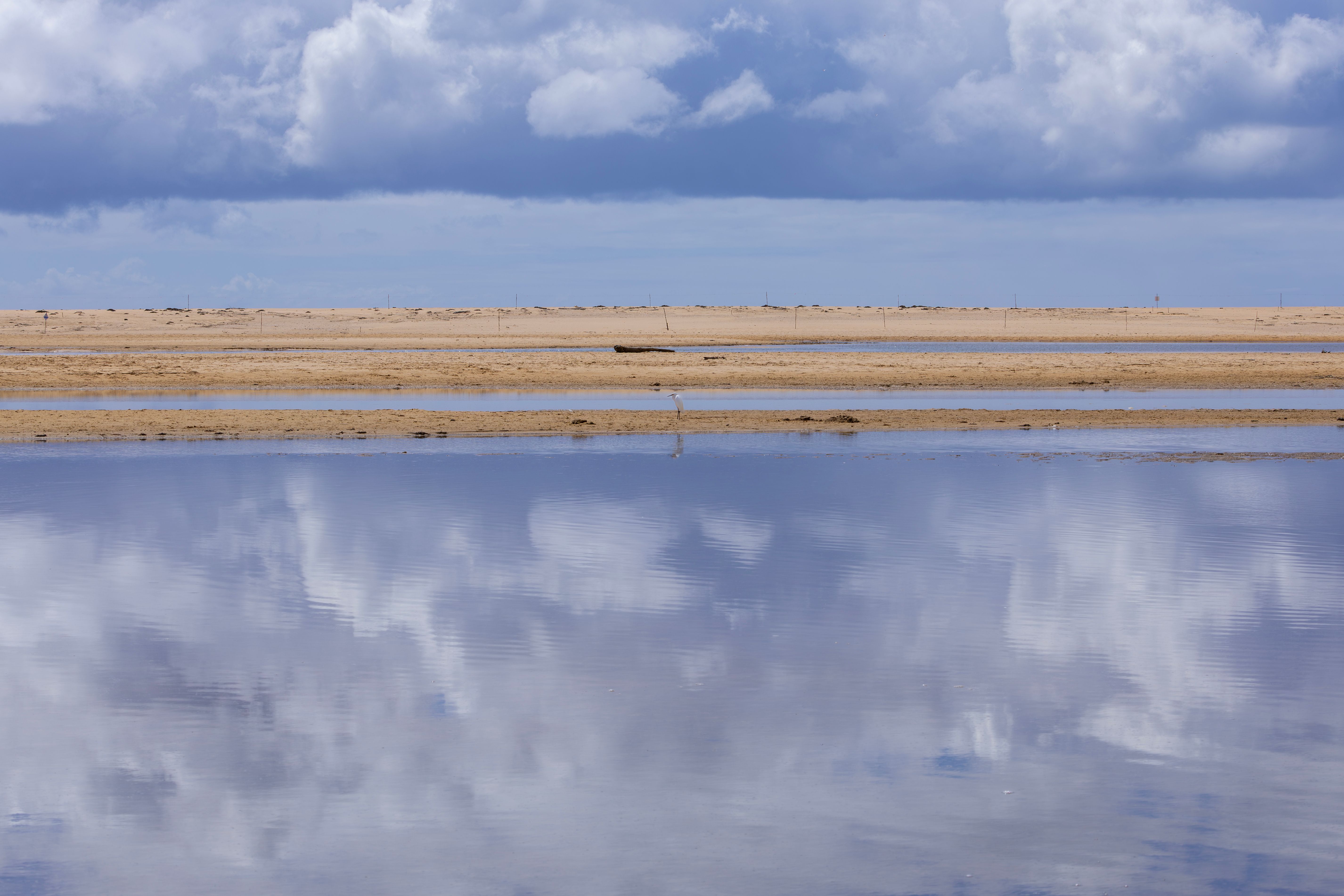 Serene Coastal Reflection in New South Wales · Free Stock Photo