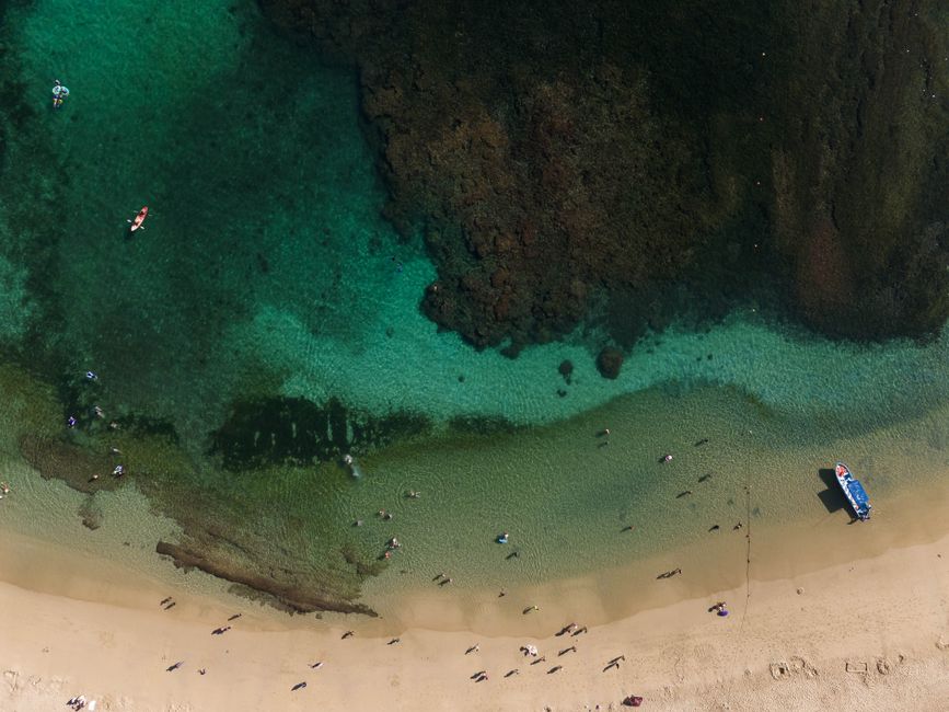 Playa La Entrega, Huatulco: Complete Snorkeling Guide