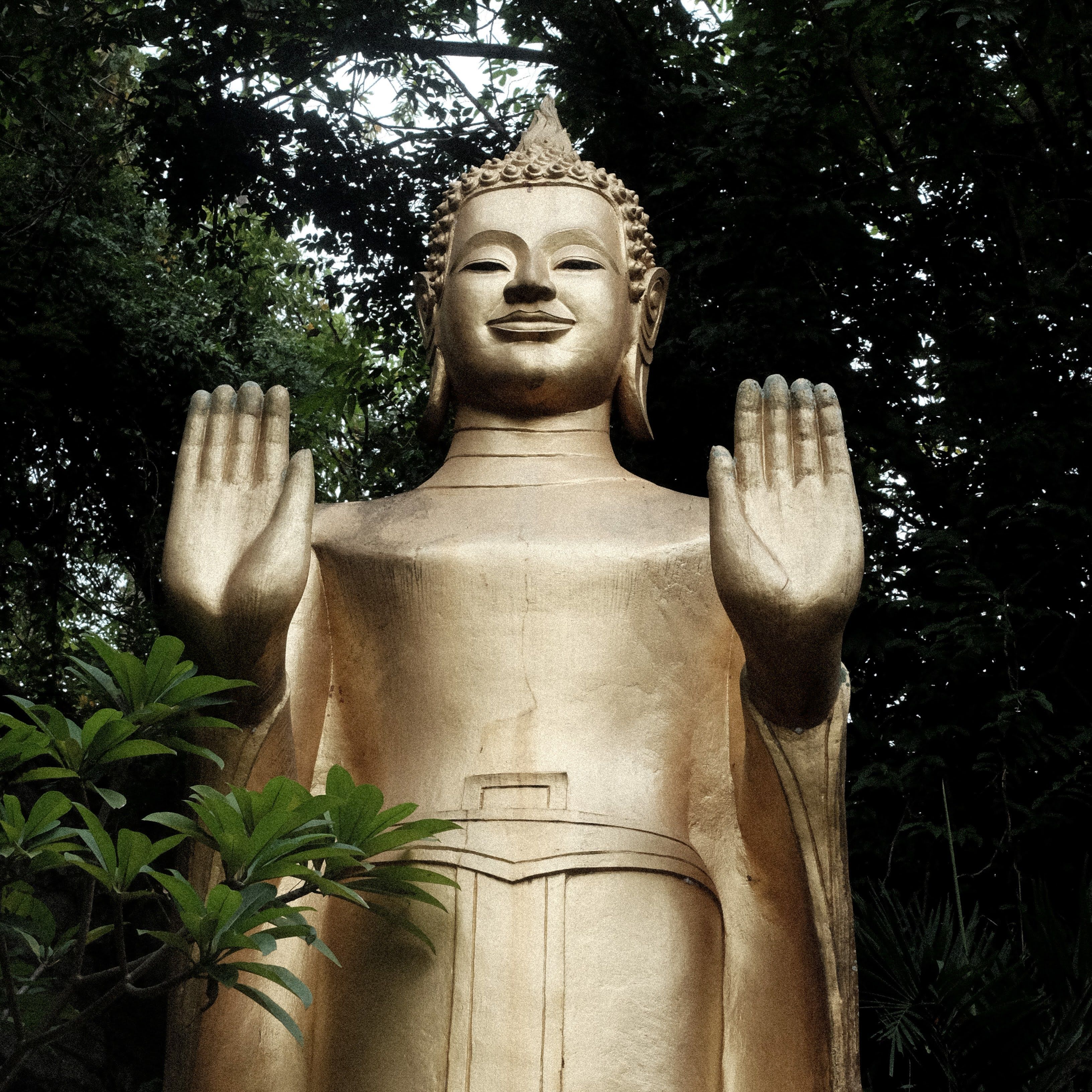 Eternal Peace