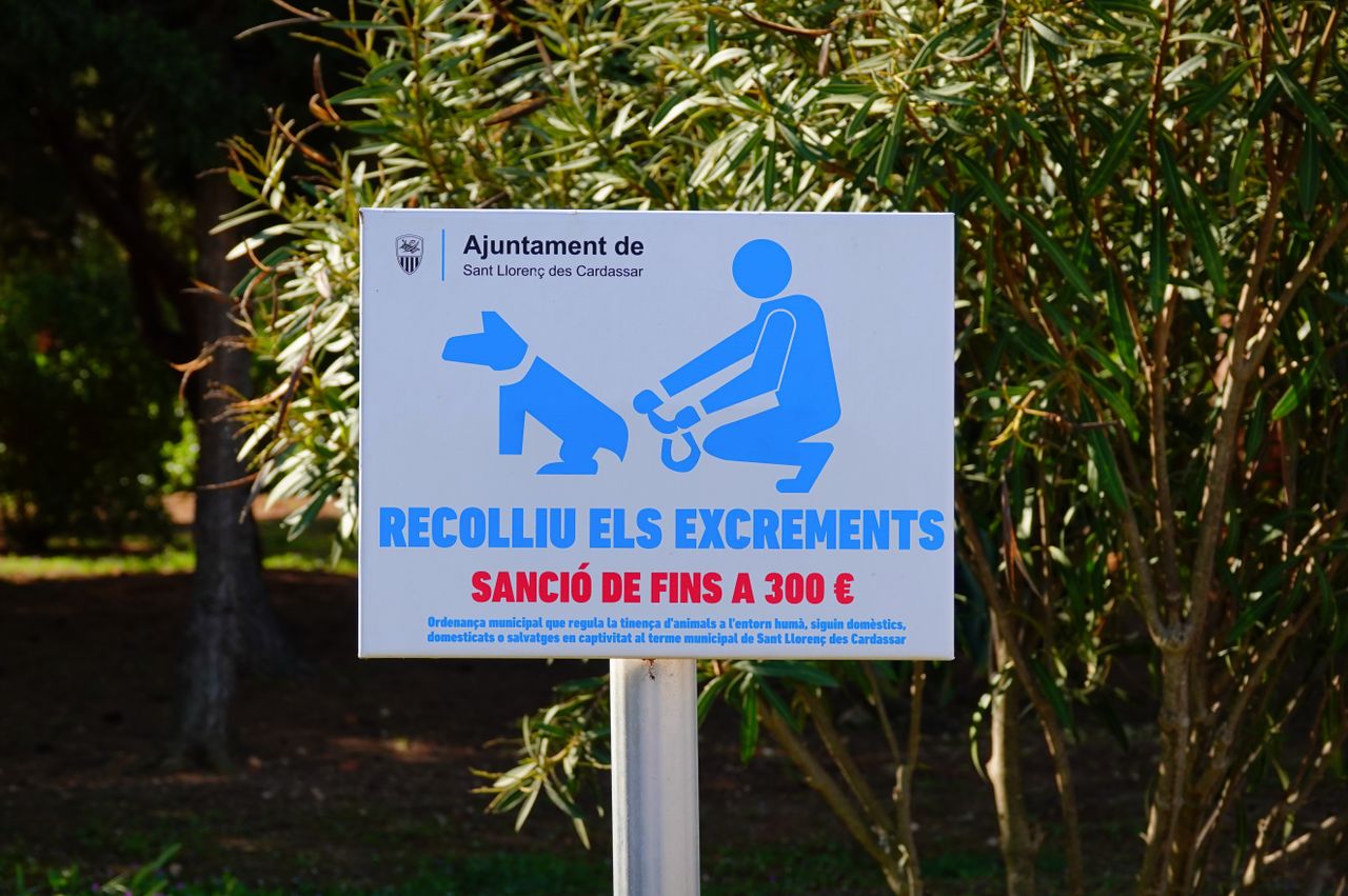 Rochefort inaugure son premier parc canin de 2 100 m²