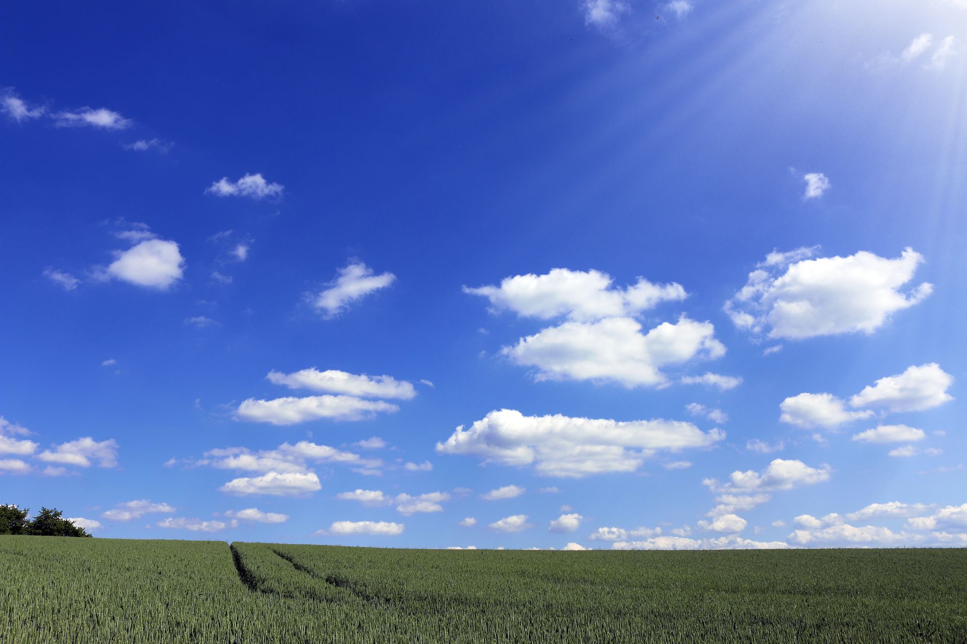 A serene landscape featuring a vast green field under a bright blue sky with scattered clouds.
