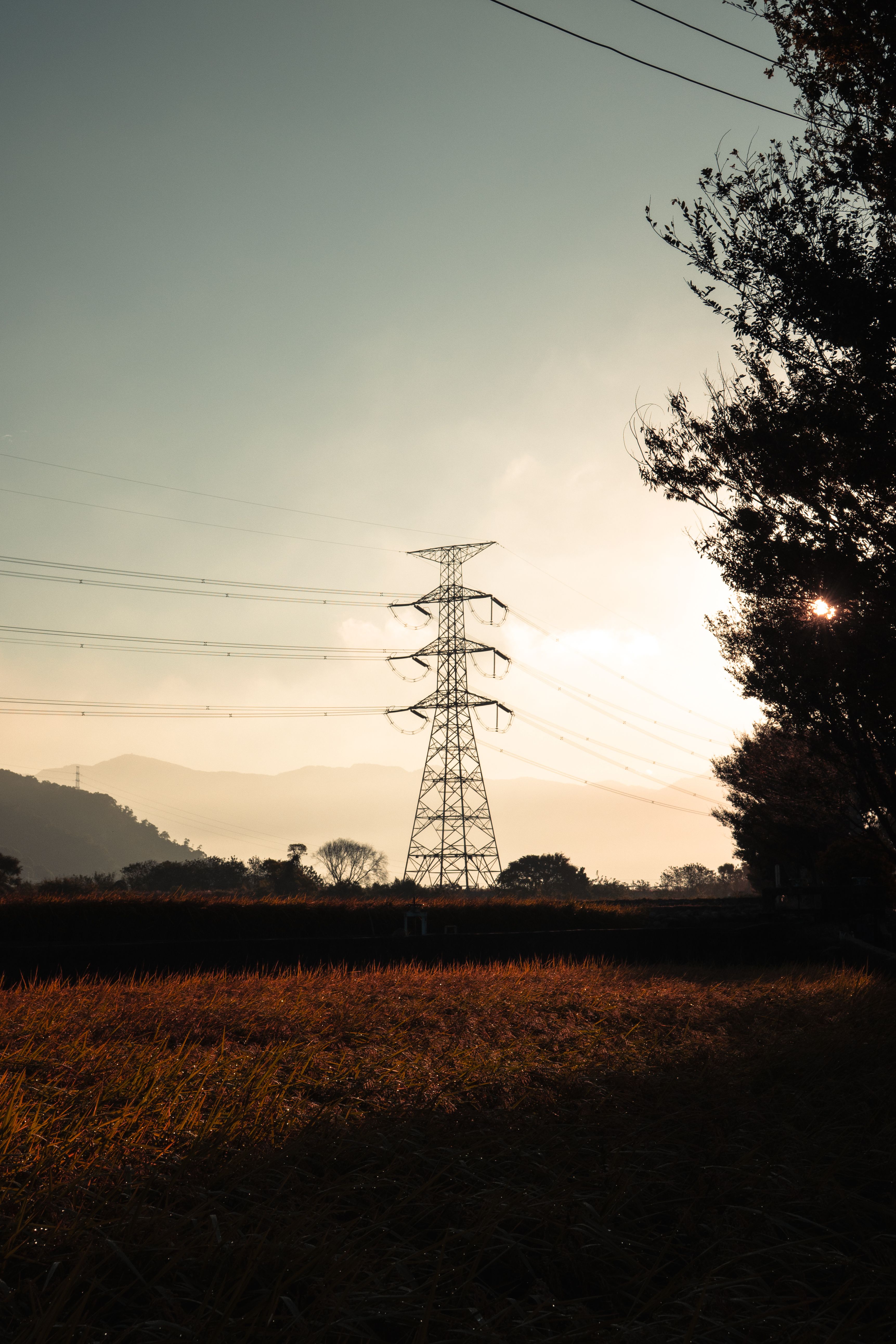 Silhouette of Power Lines at Sunset · Free Stock Photo