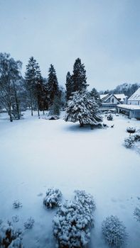 Quiet snowy day in a serene residential neighborhood with trees and houses.