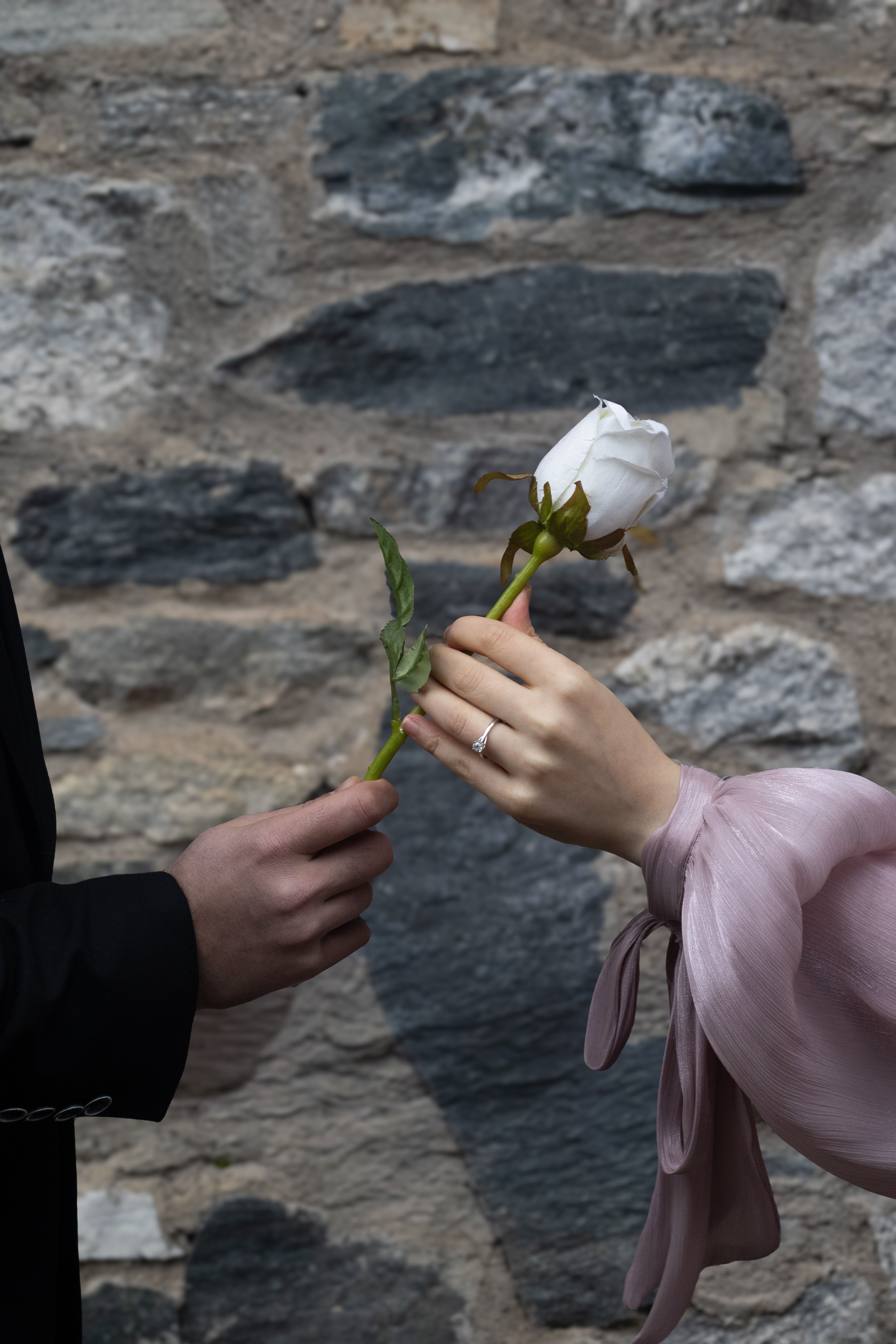 Romantic gesture with a white rose against stone wall · Free Stock Photo