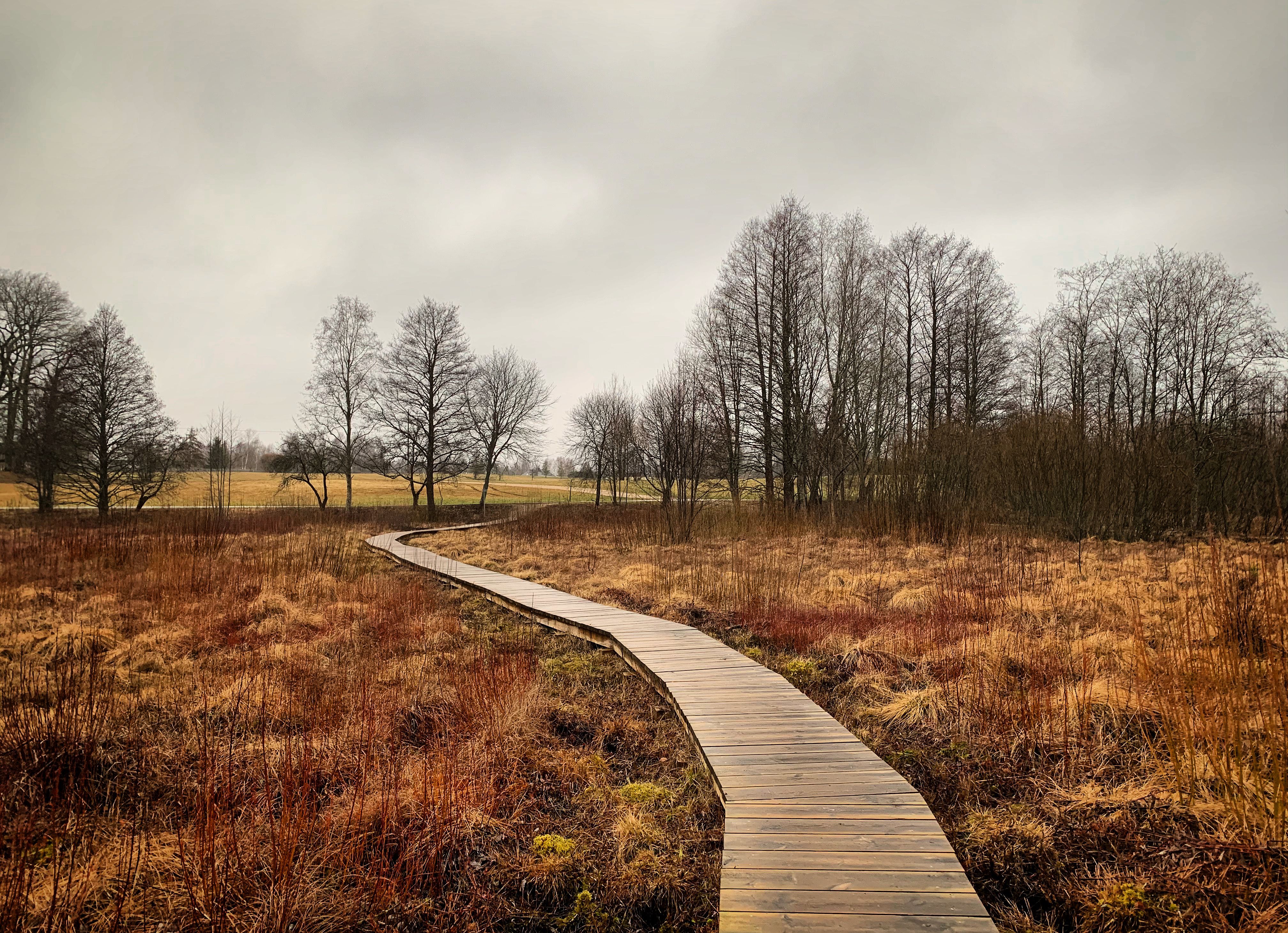 Follow the Oandu nature and beaver trails