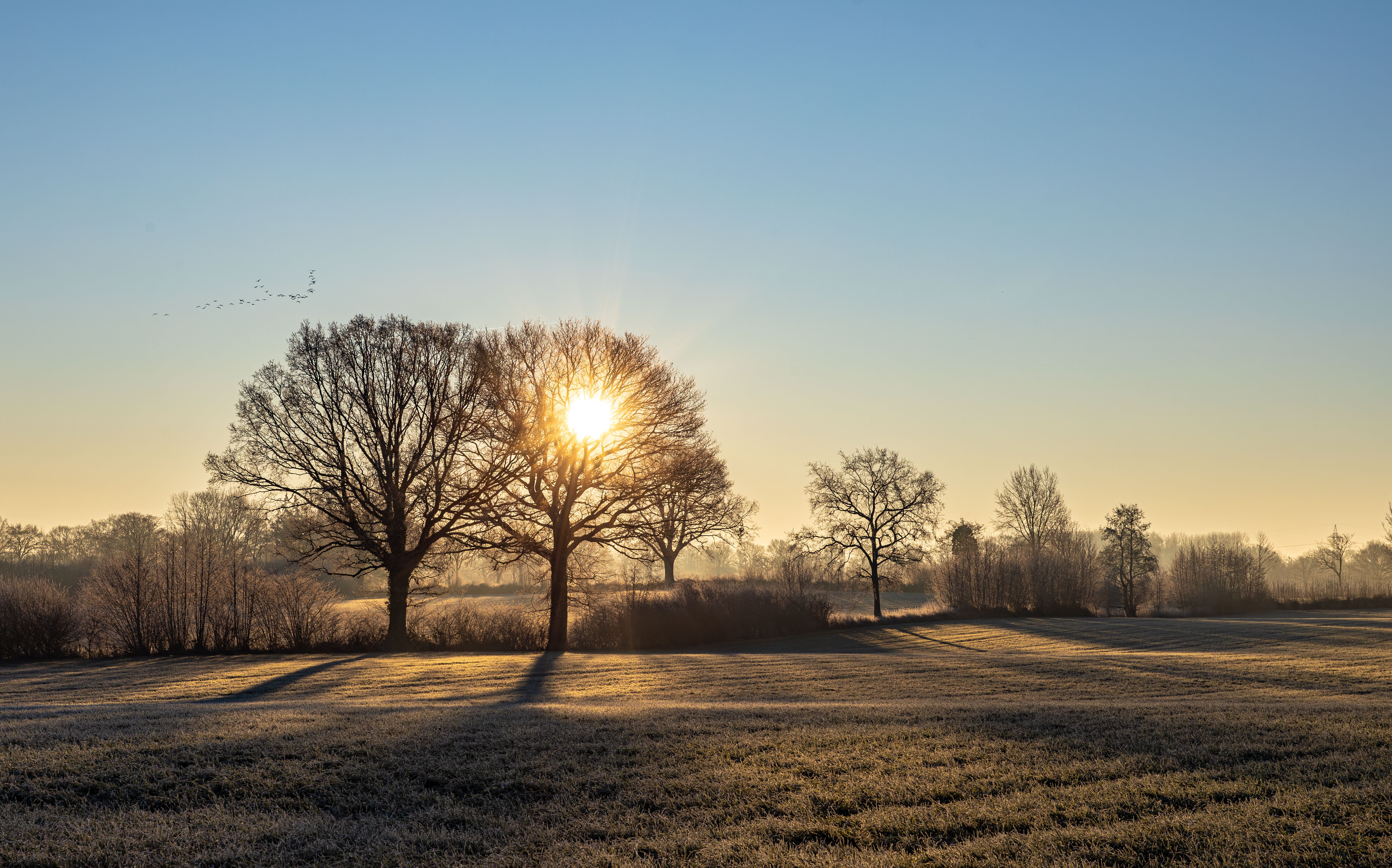 Peaceful Sunrise Over Frosty Winter Landscape · Free Stock Photo