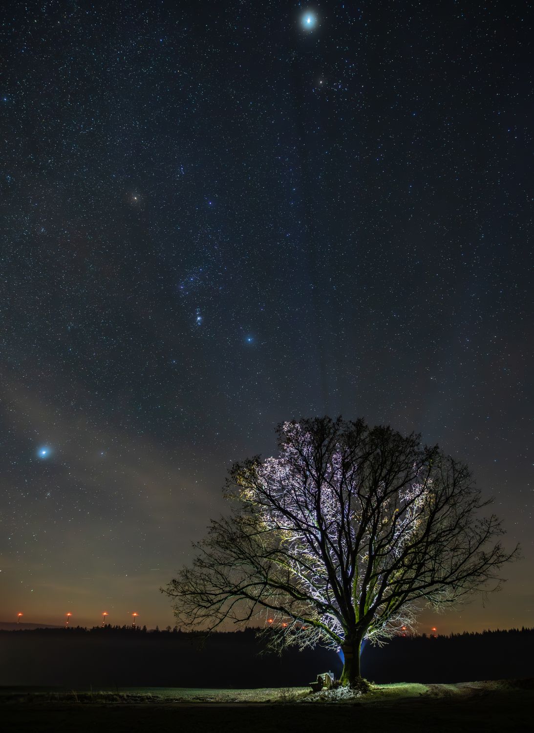 Lone Tree Under a Starry Night Sky · Free Stock Photo