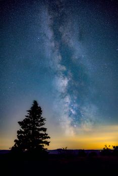 Breathtaking view of the Milky Way galaxy with a silhouetted tree, captured at twilight.