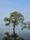 nature video in india