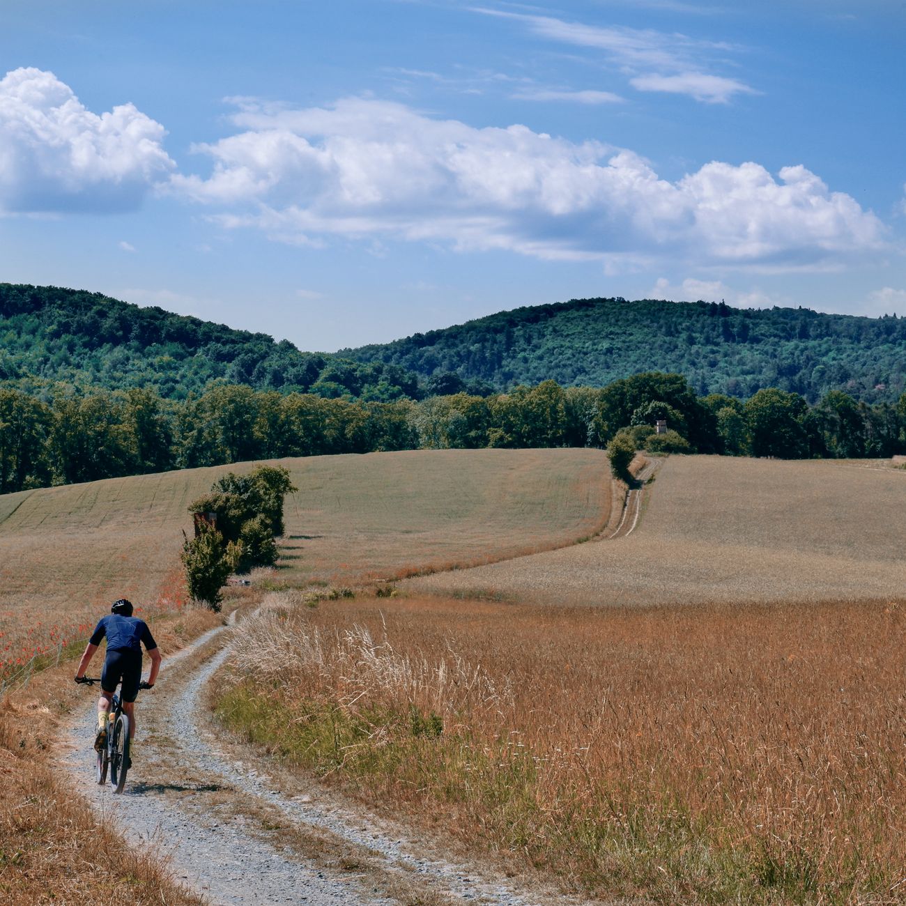 A cyclist rides on a path through scenic fields in the German countryside under a summer sky.