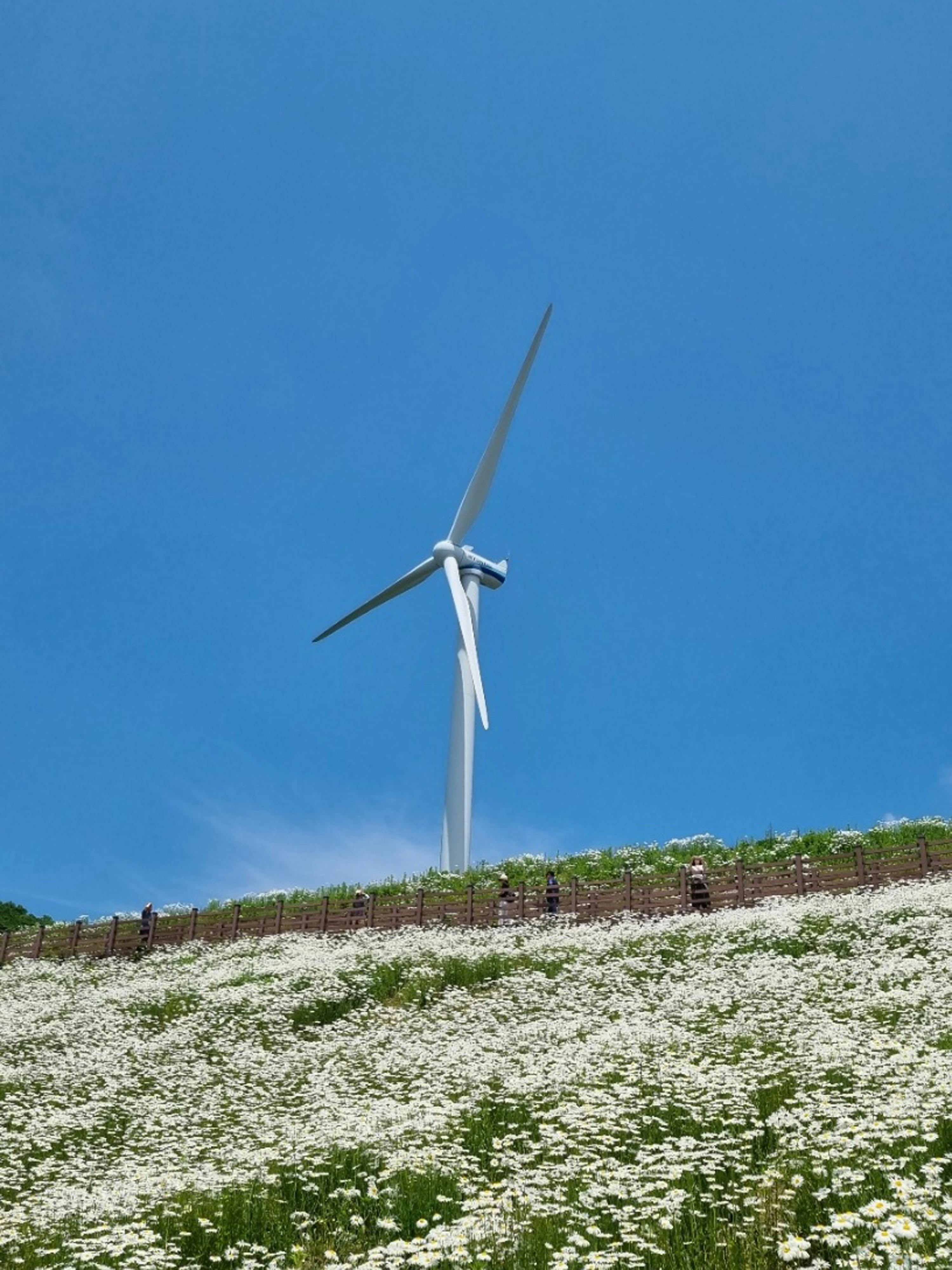 (Ebook Free Energy) Free Energy Circuit