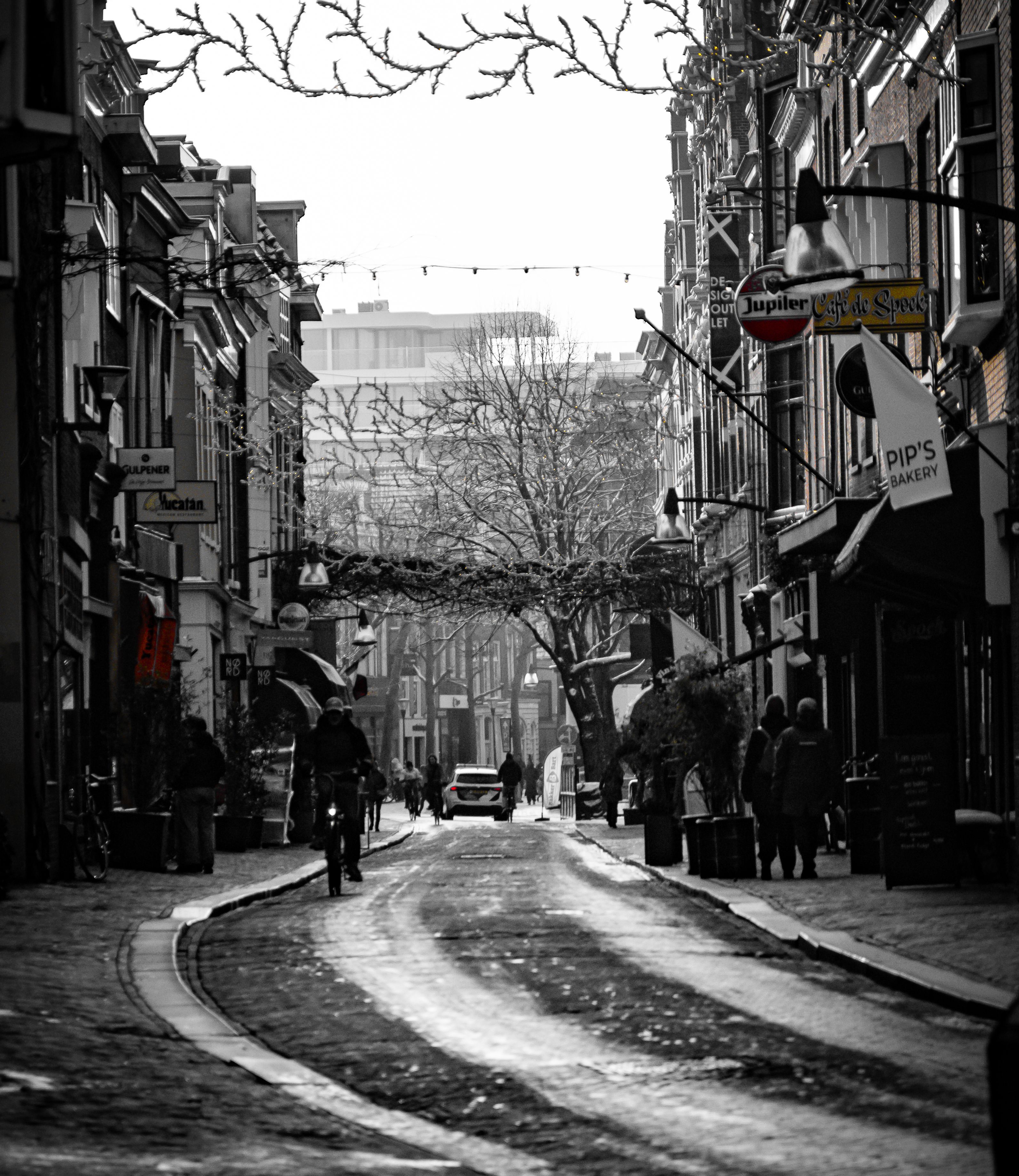 Picturesque Urban Street in Black and White · Free Stock Photo