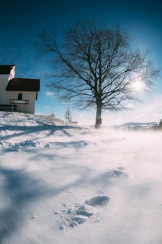 A tranquil winter scene featuring a bare tree, a house, and footsteps in the snow, under a bright sun.