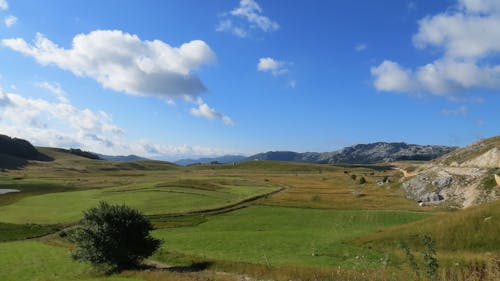 Darmowe zdjęcie z galerii z krajobraz, natura