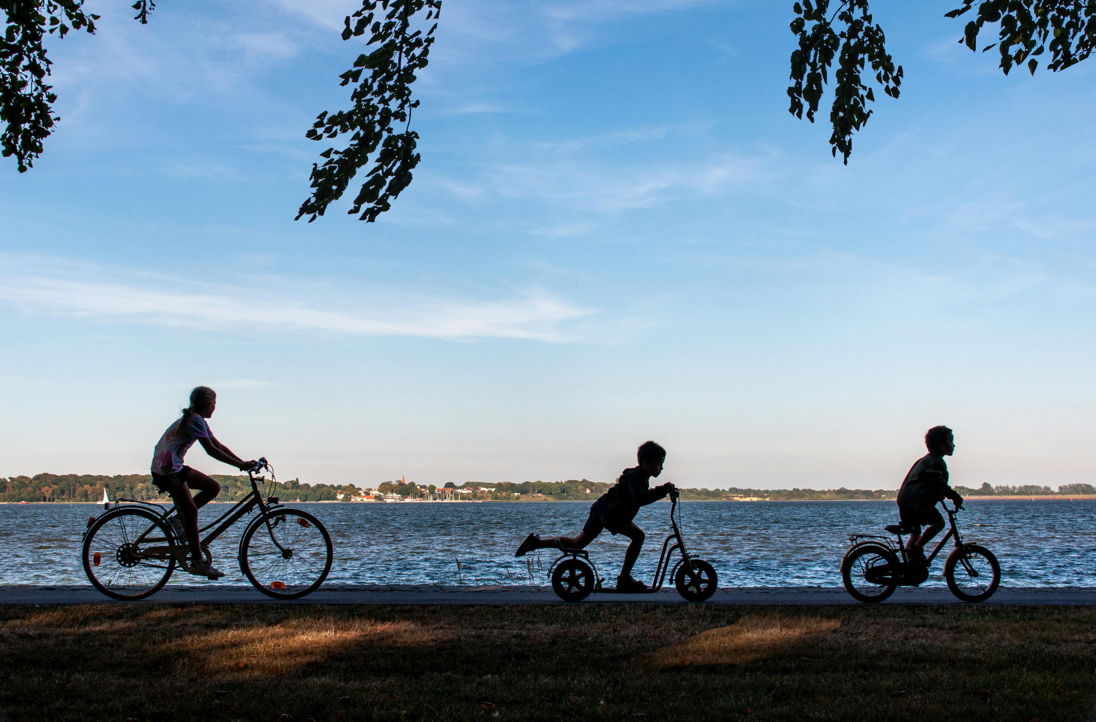 Kostnadsfria Silhuetter av barn som leker på cyklar och skoter vid en lugn sjöstrand i dagsljus. Stock foto