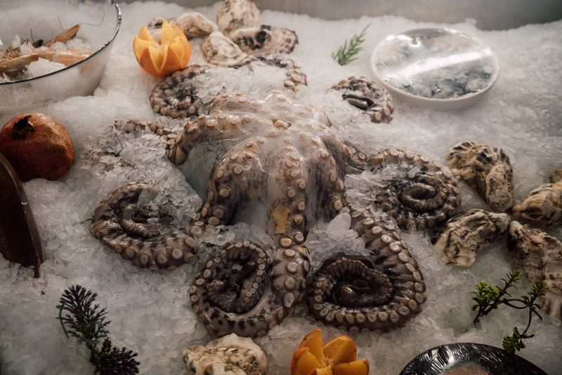 Fresh whole octopus on ice