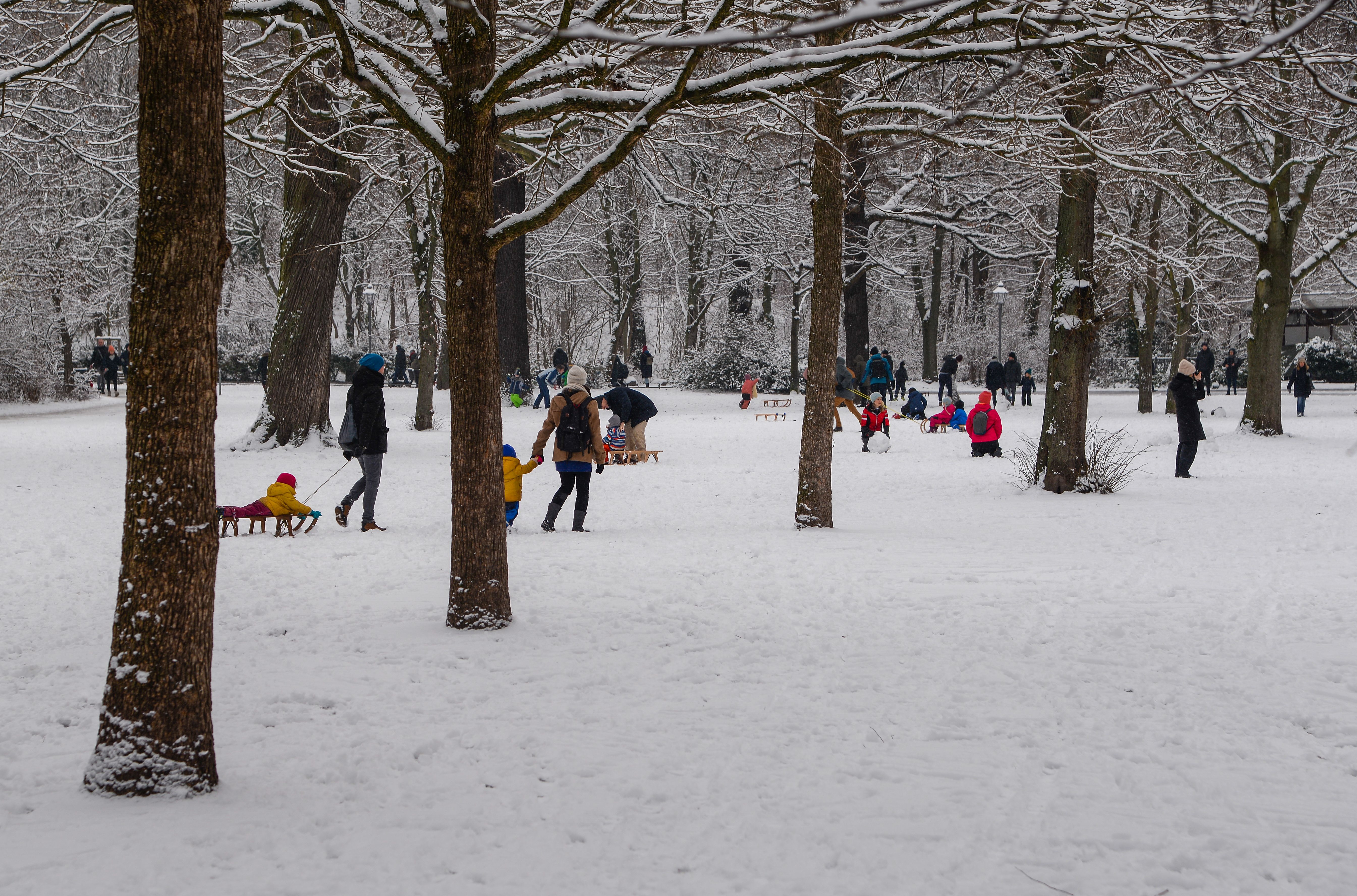 Families enjoying a snowy day in a park, pulling children on sleds among snow-laden trees. 