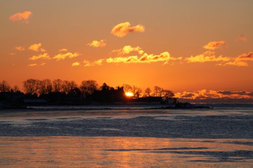 Free Stunning sunset view over a serene coast, capturing vibrant skies and silhouetted trees. Stock Photo