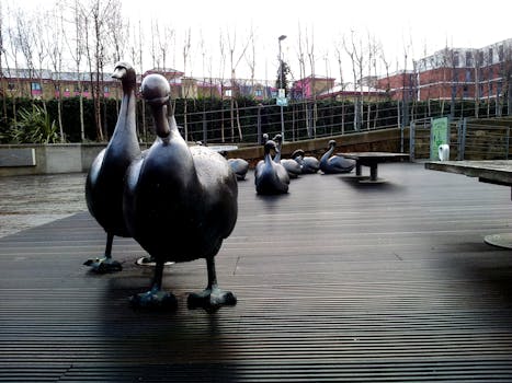 爱丁堡公园的木台上有一组青铜鸭雕塑