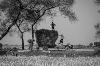 Traditional Farming Scene in Bangladesh