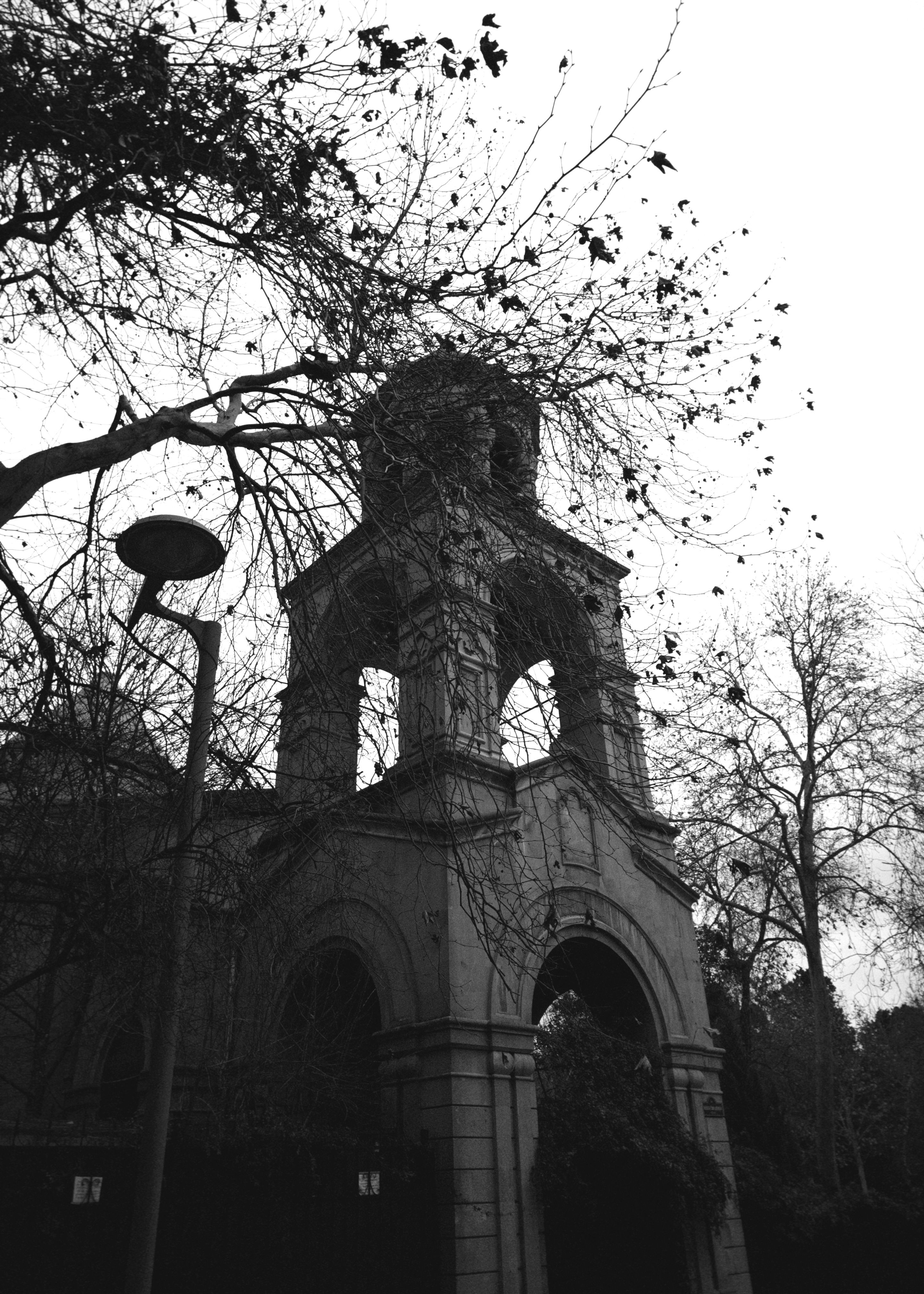 Gothic Architectural Detail in Black and White · Free Stock Photo